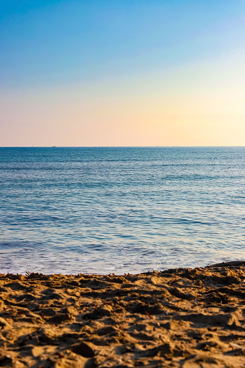 学习意大利语专科专业的优势：拓展你的视野和机会