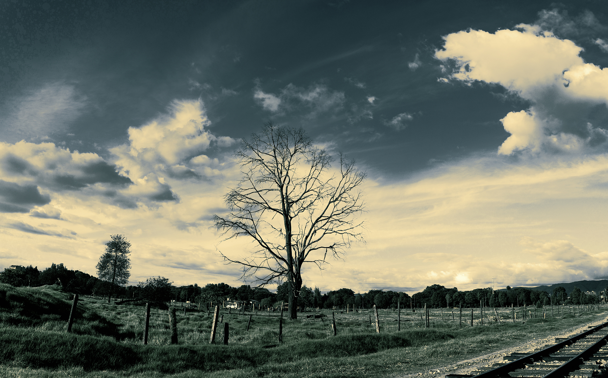 写一篇作物产量对天气响应的空间面板模型研究以嘉兴市为例的本科论文