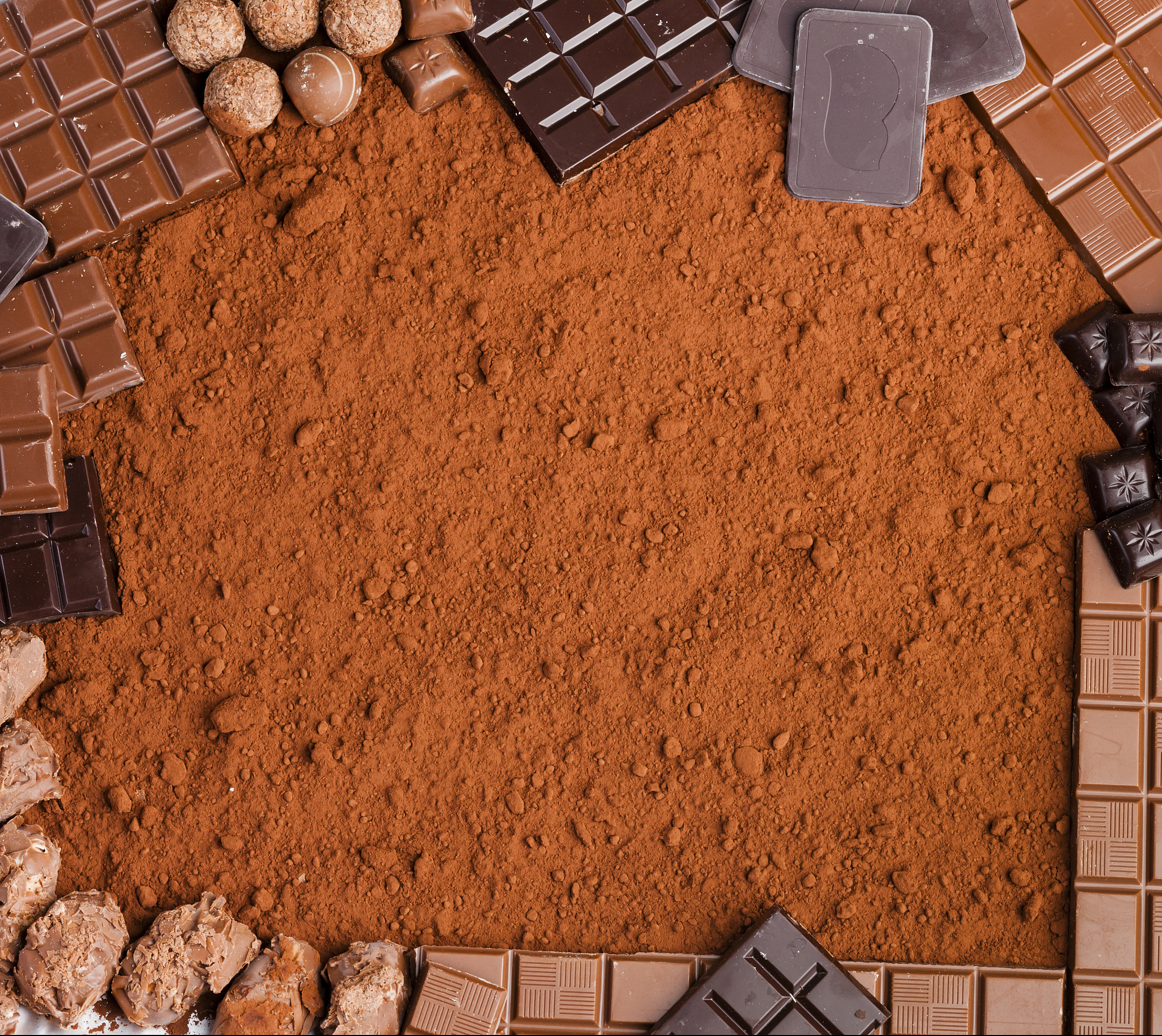 chocolate in cocoa