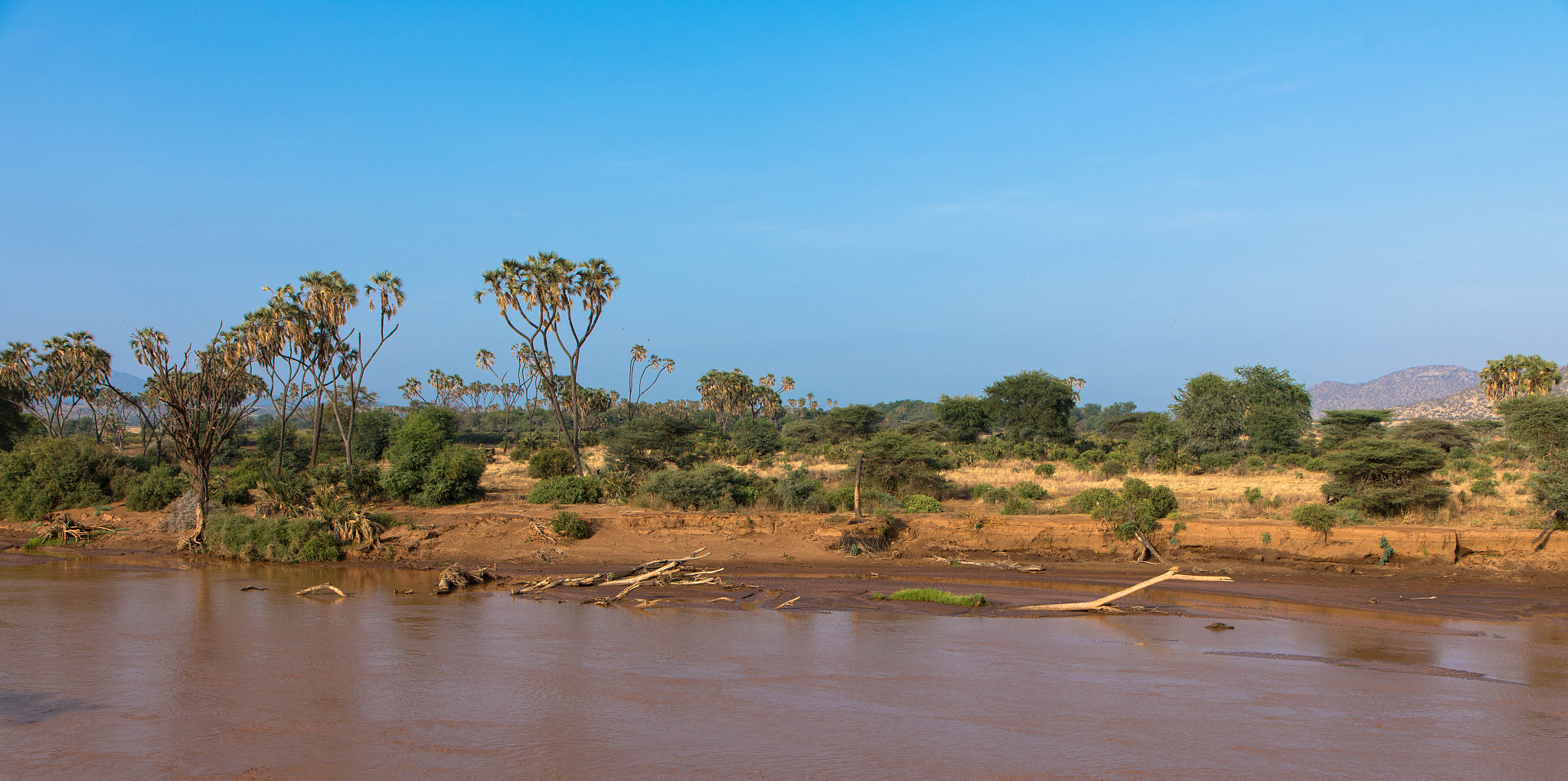 view of the ewaso ngiro river, samburu national park