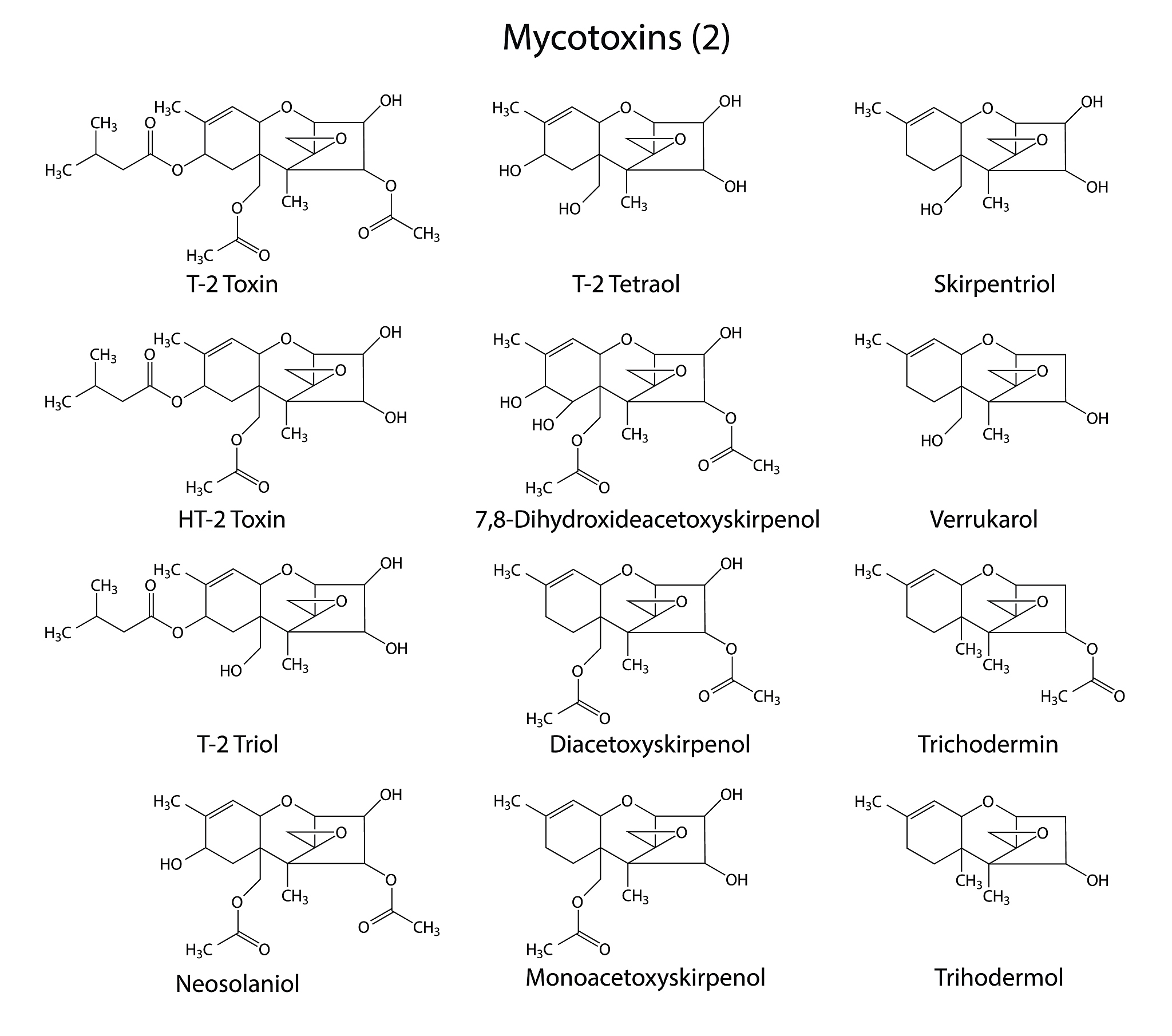 二项式定理课程设计：探索、应用与拓展