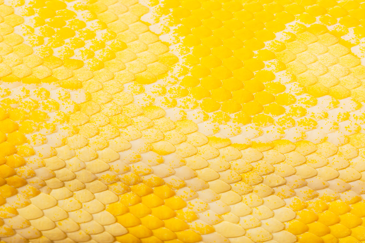 基于地理位置的商品价格计算与筛选