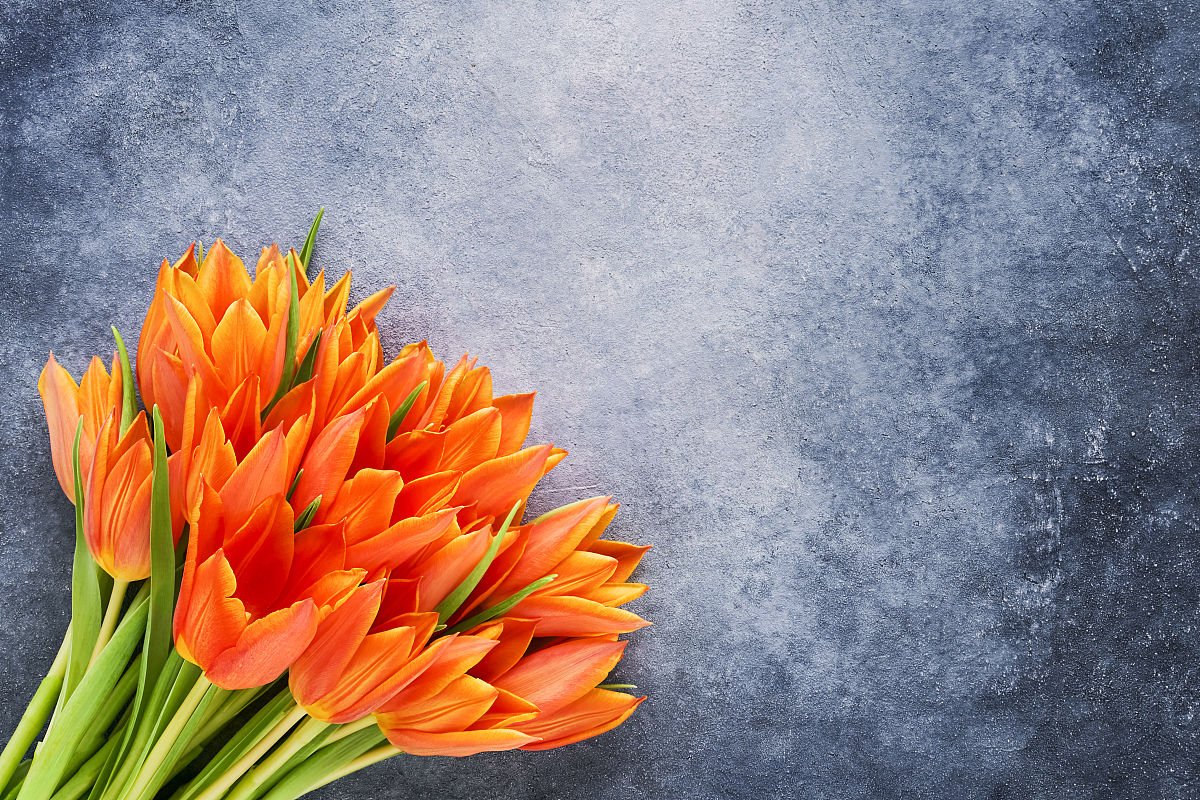 感恩母亲节：献给伟大母亲的深情告白