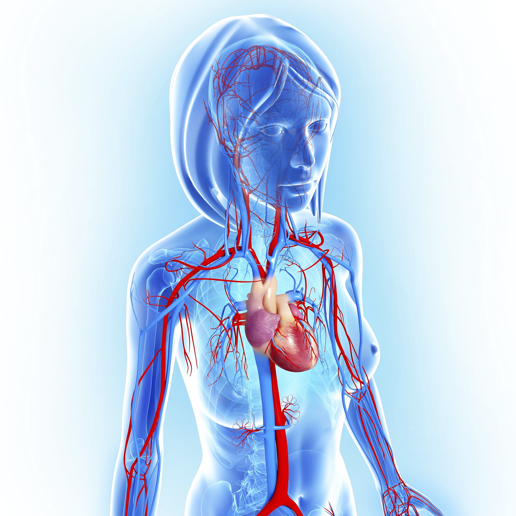 湖北麻城师范学校2021年招生专业一览
