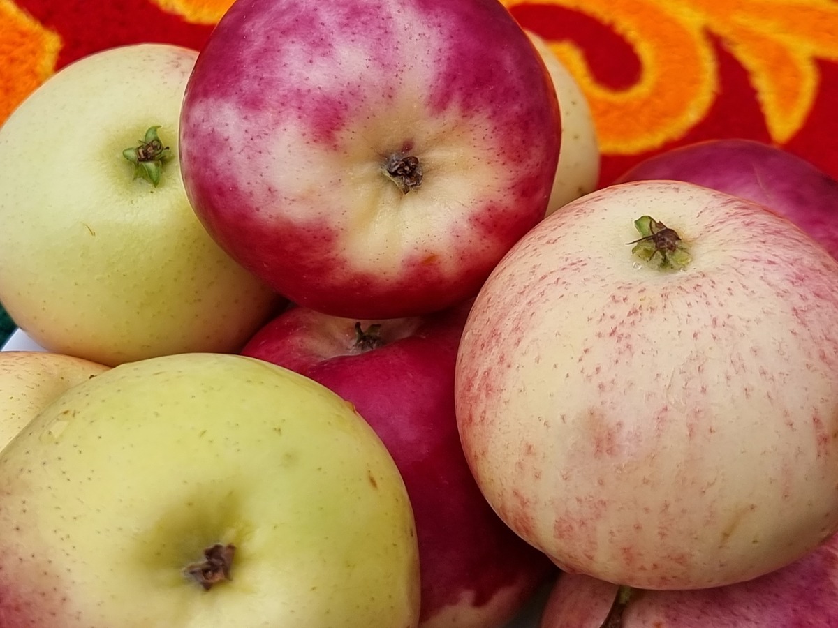 苹果可以过夜吃吗