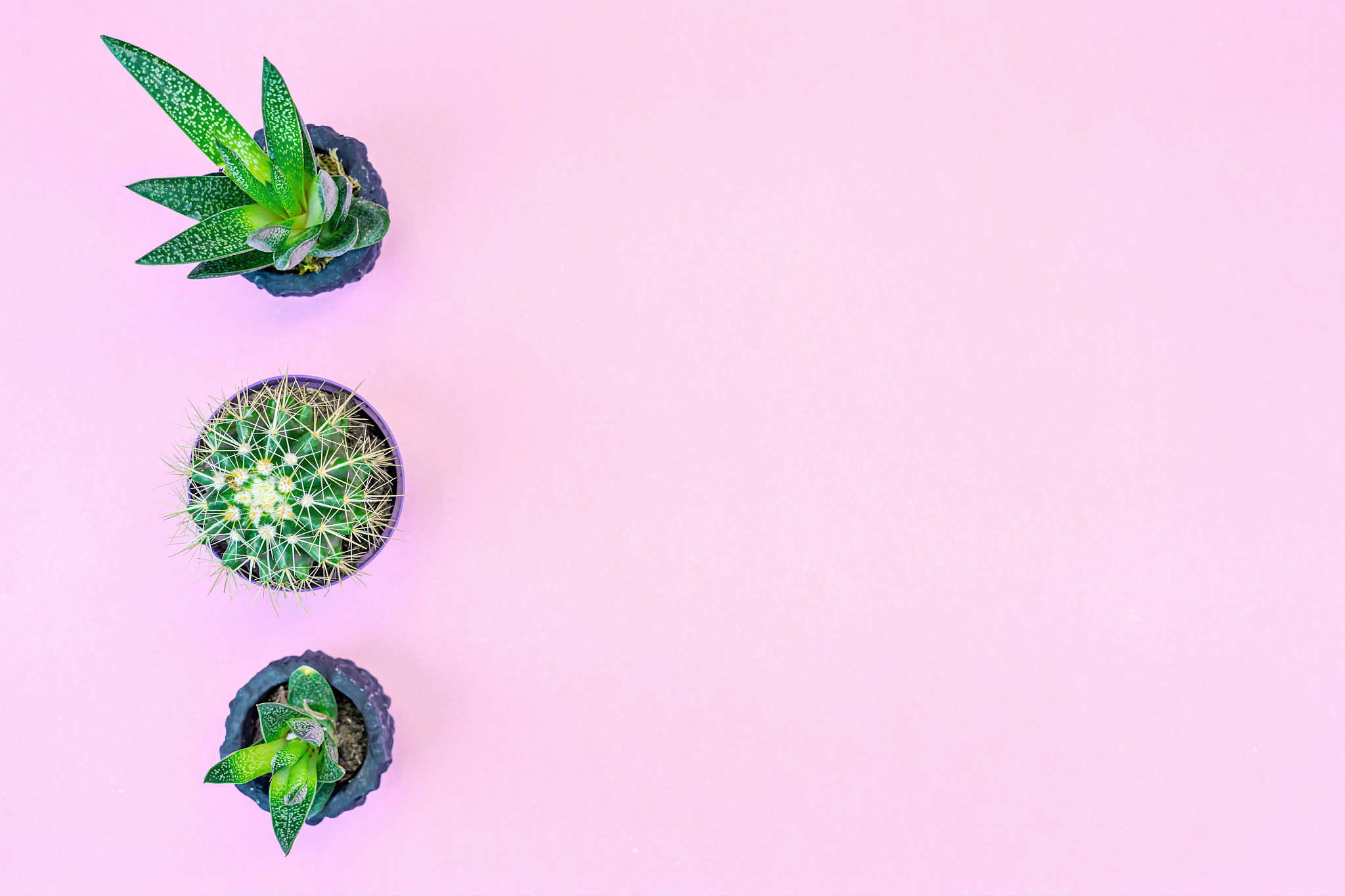 写一盘音视频模块体积优化会议纪要