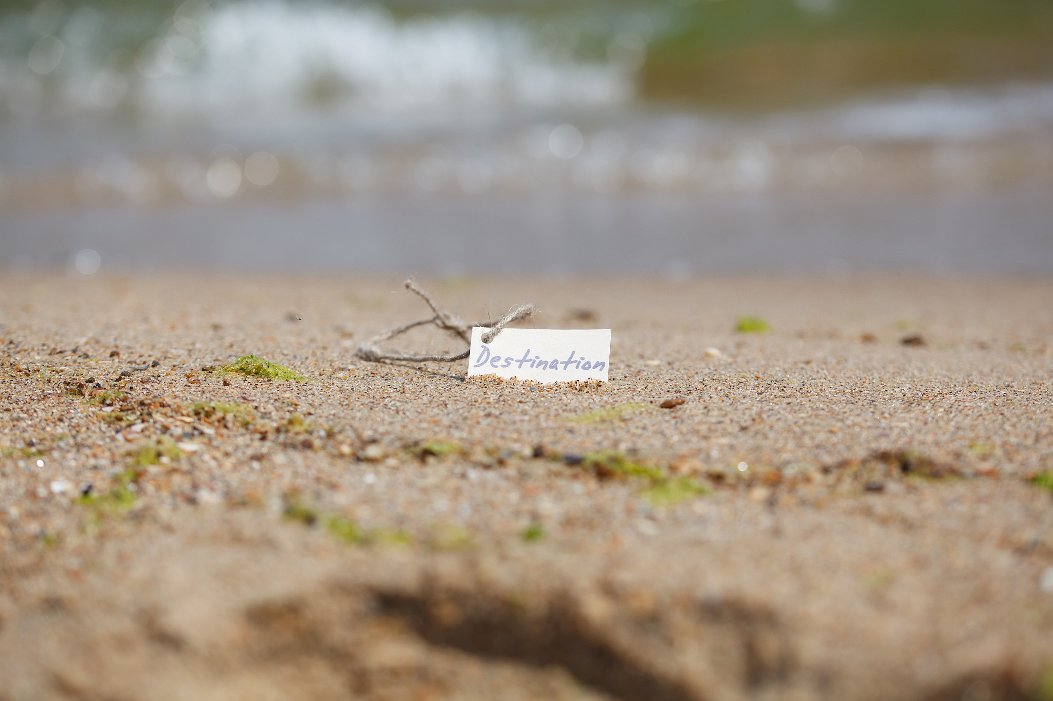一只小虫努力地顺着陡立的墙壁往上爬写篇作文