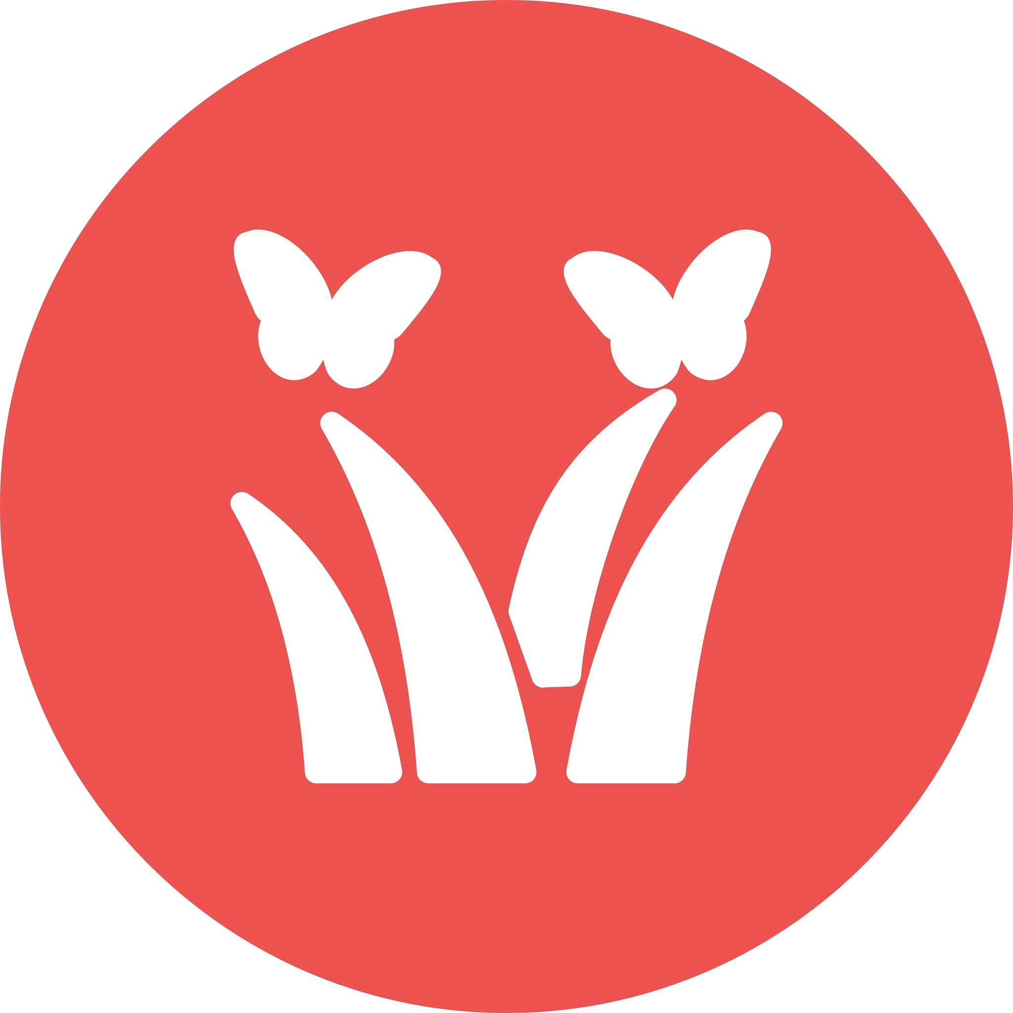 butterflies over plants