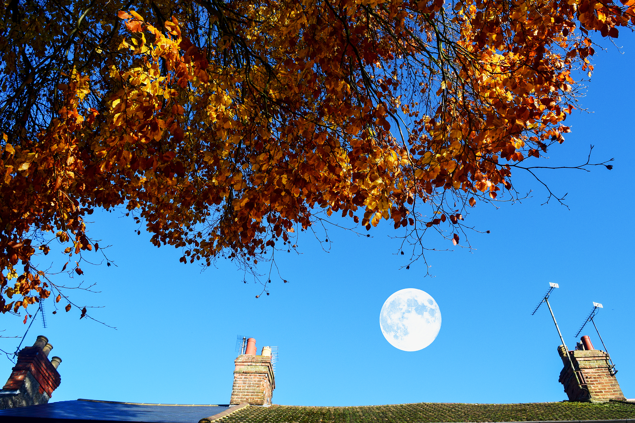 中西方文学中象征意义的差异——详细讲一下以西方文学的春风、草、月亮和秋天为例 要有出处