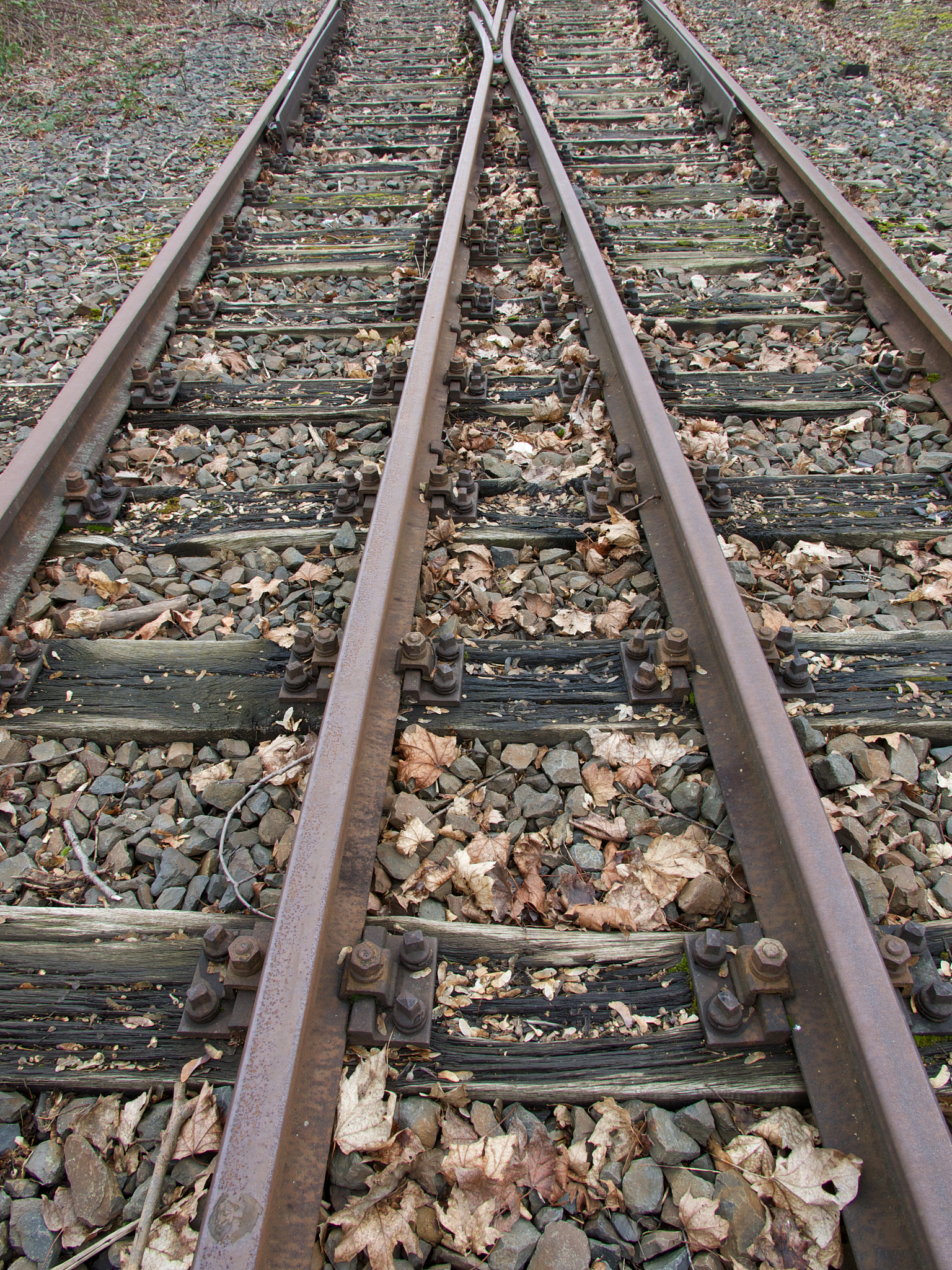 成都铁路学校就业前景如何？解析就业方向与技巧