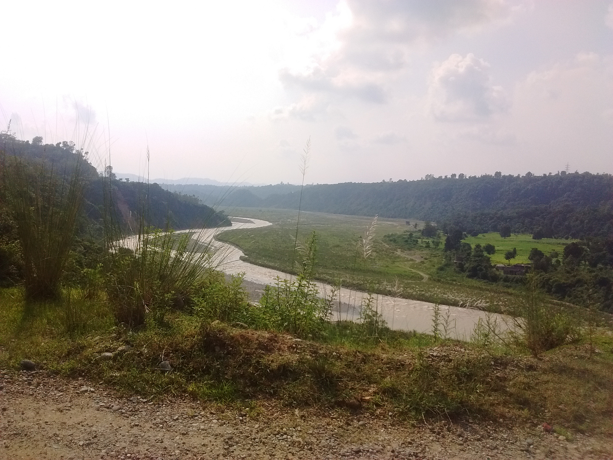 息县竹竿河入淮口到桃花岛段经过茶棚吗回答+拓展