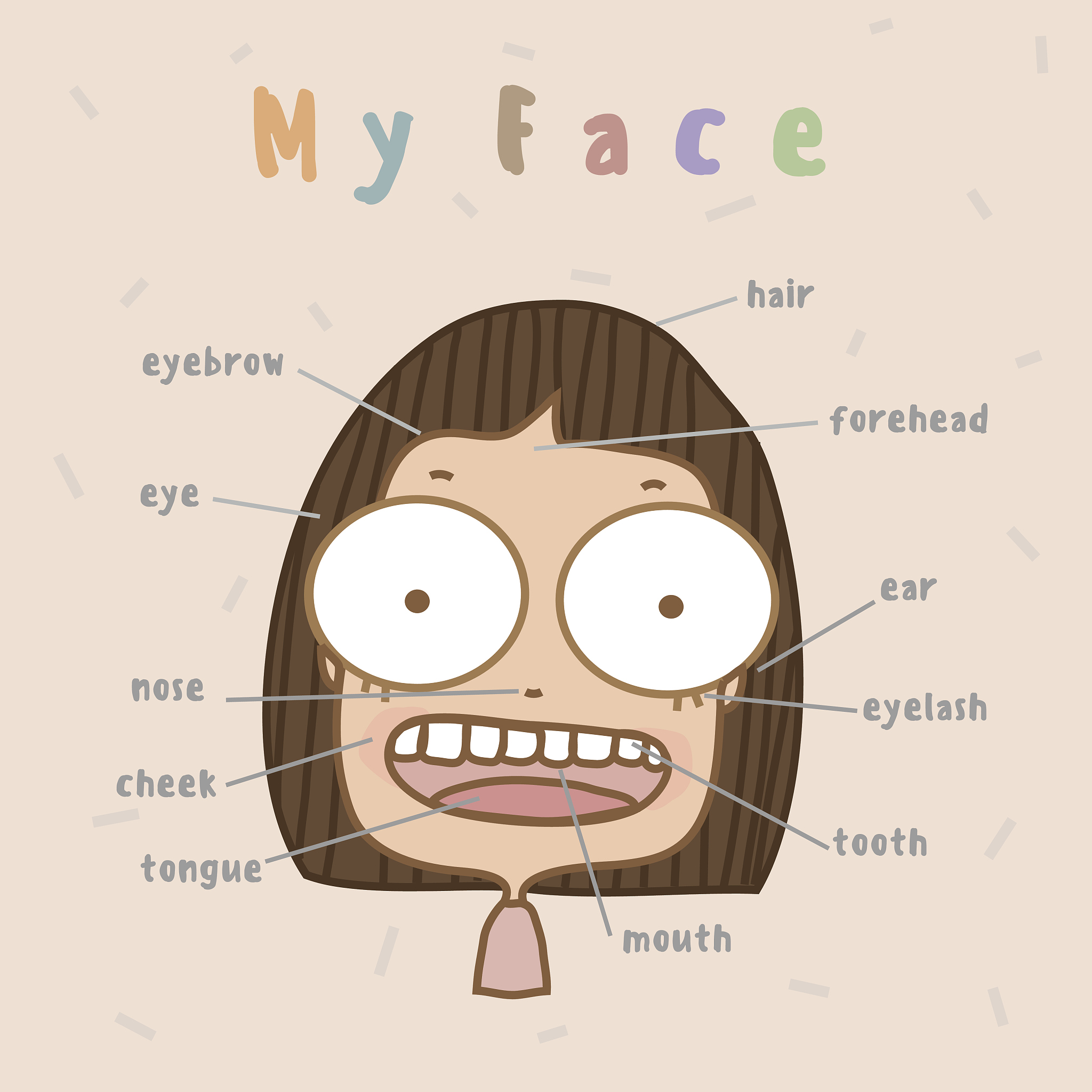 50+ English Phrases to Describe Facial Features: Eyes, Nose, Forehead, More