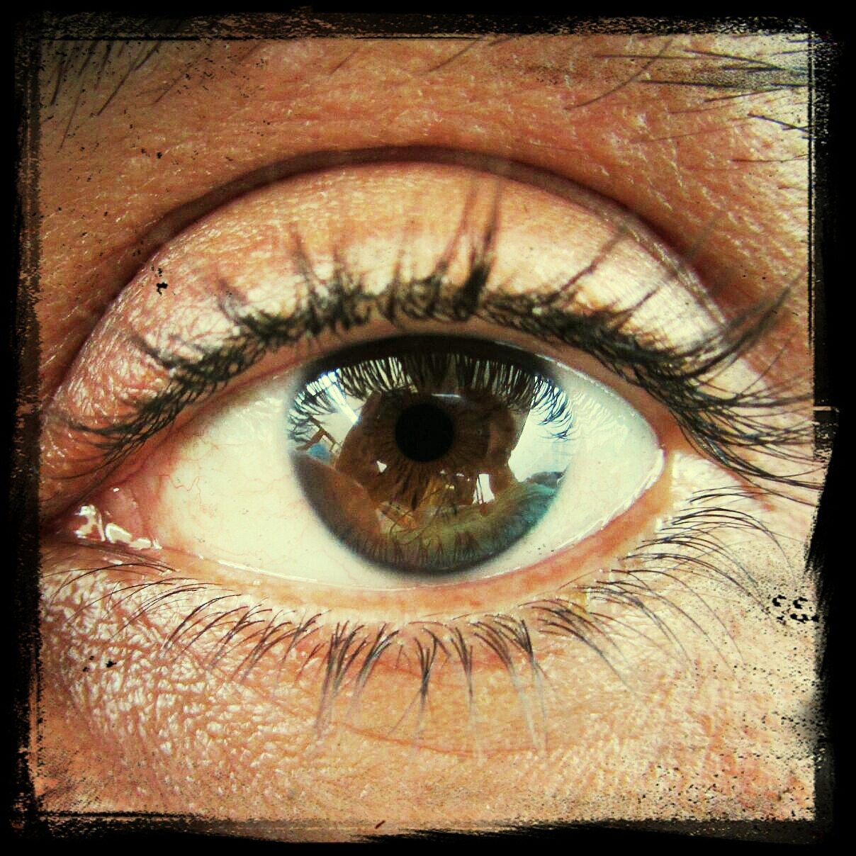 extreme close up of human eye