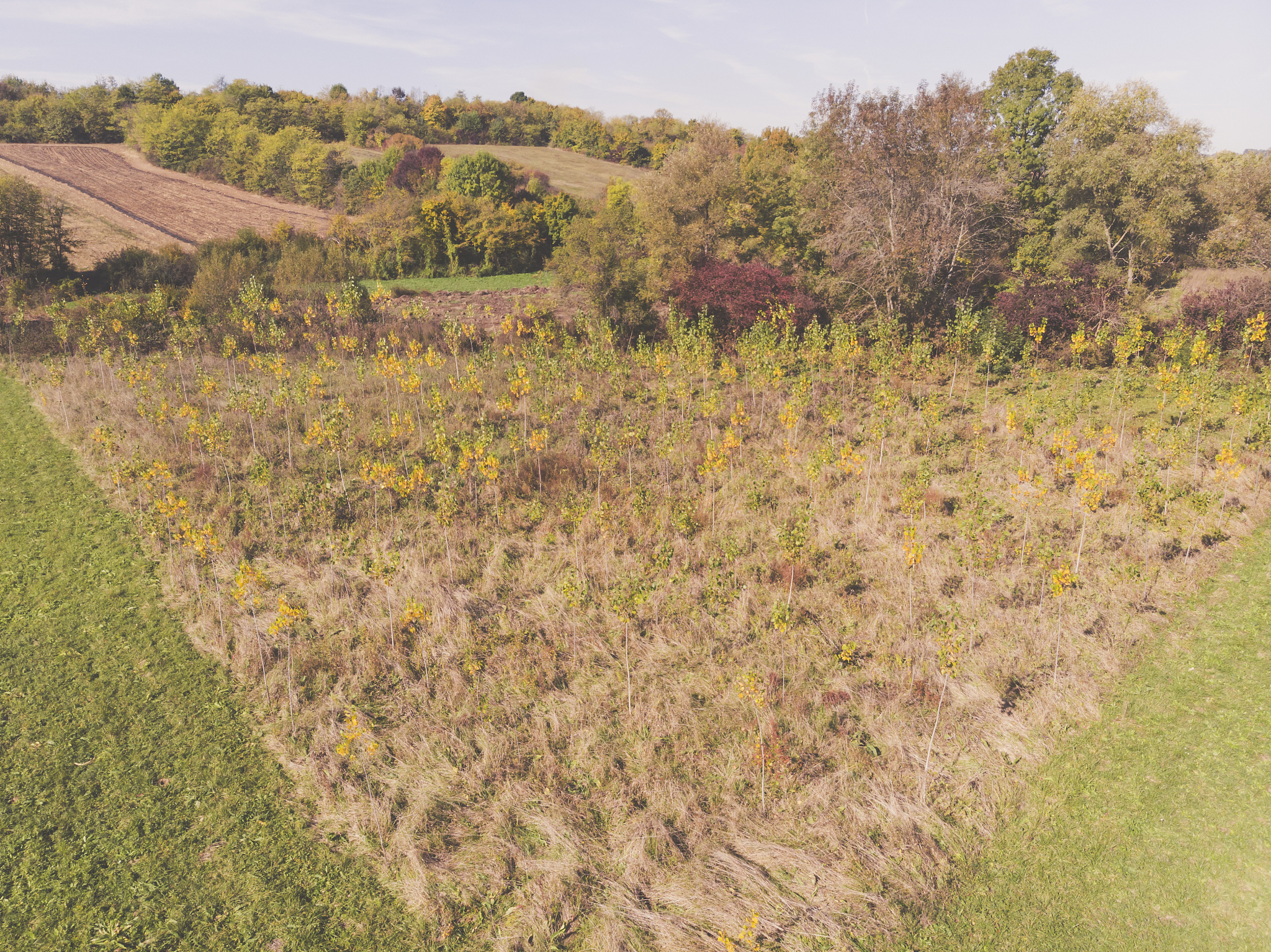 江西农业工程职业学院园艺技术专业就业前景分析