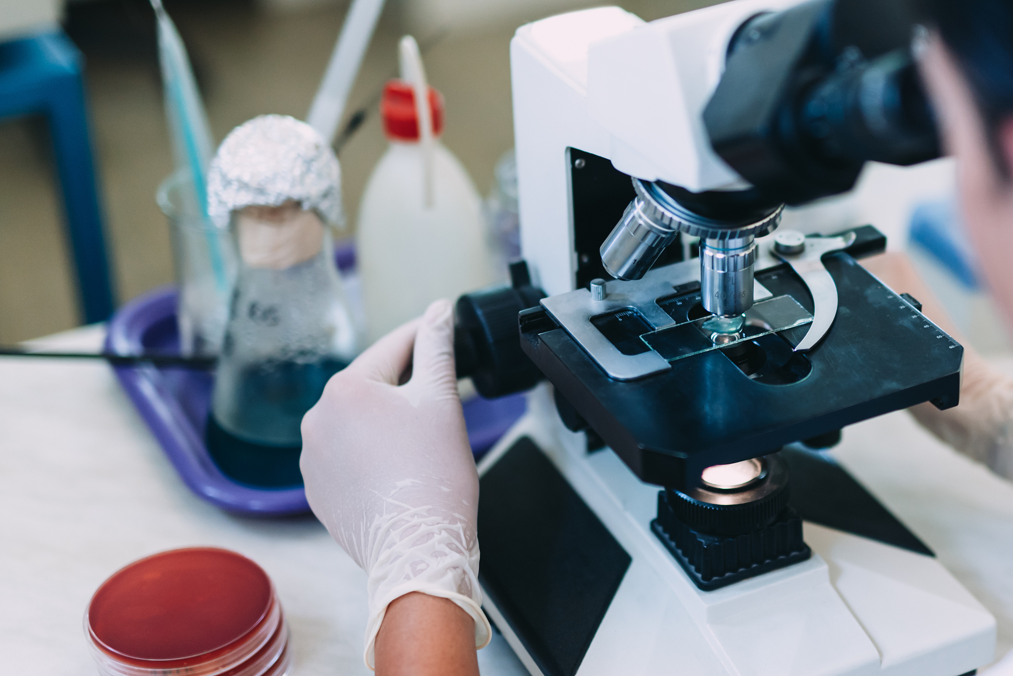 浙江工业大学药学院药物制剂专业就业前景分析：岗位、行业及发展趋势