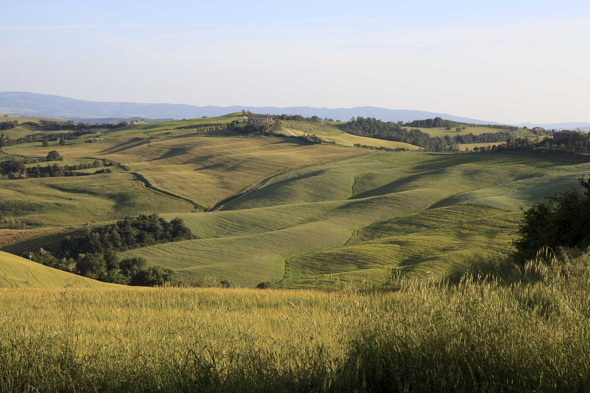 crete senesi