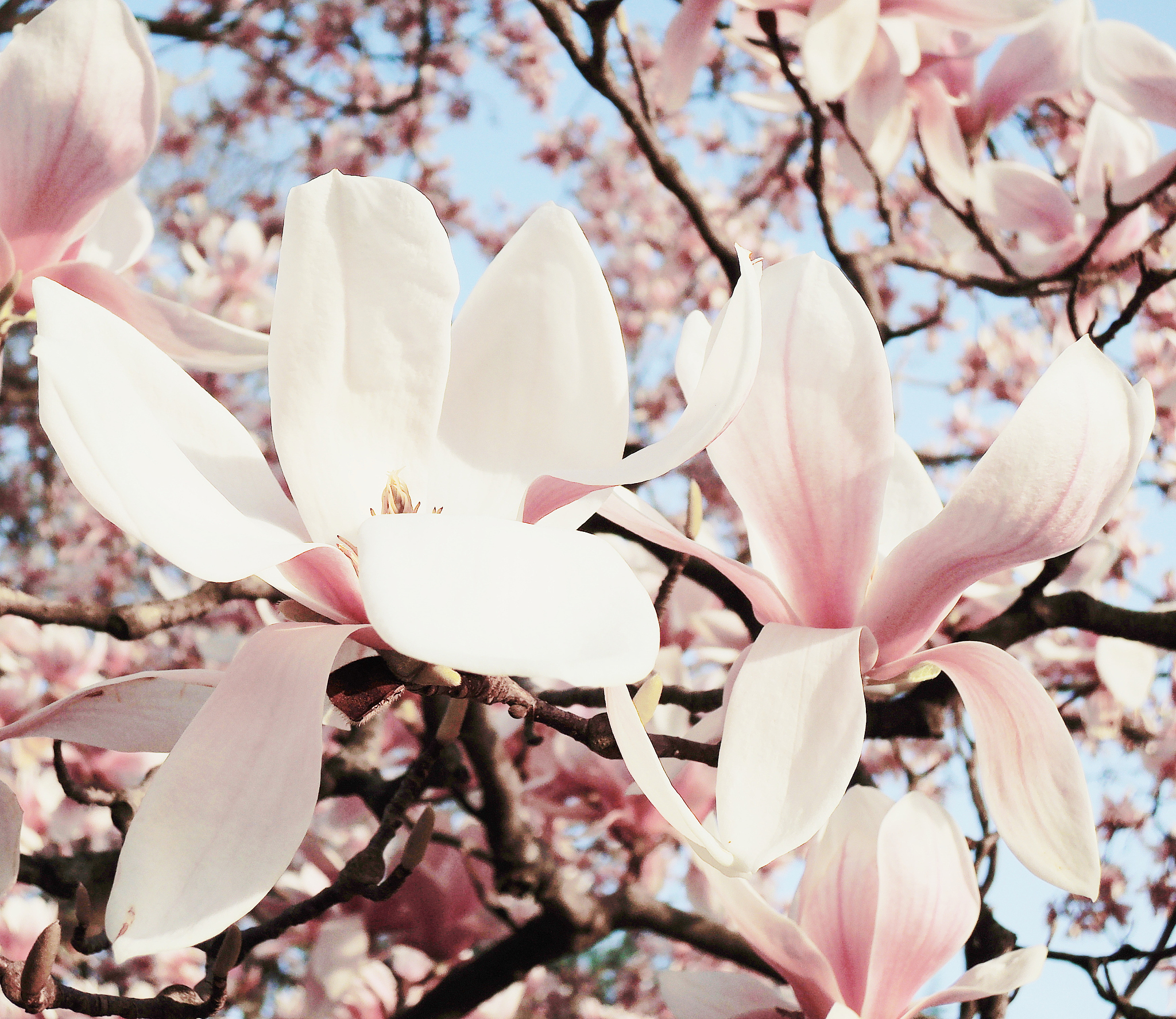 破防瞬间：释放自我，拥抱真我