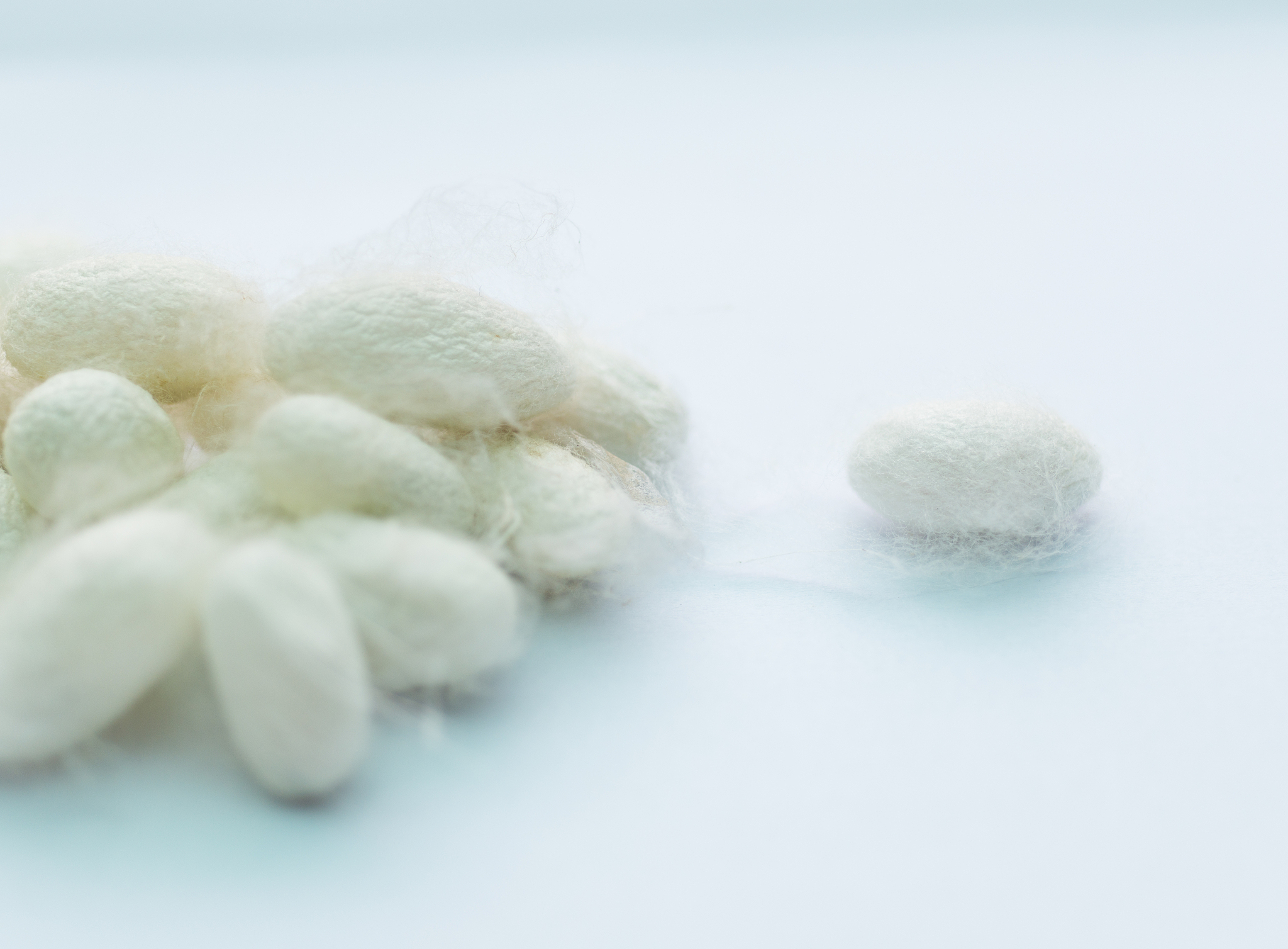 生丝是什么意思？ - 了解丝绸的原材料