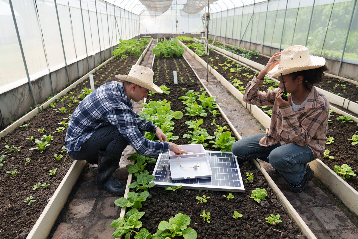 农学专业就业方向推荐：从企业到科研再到创业