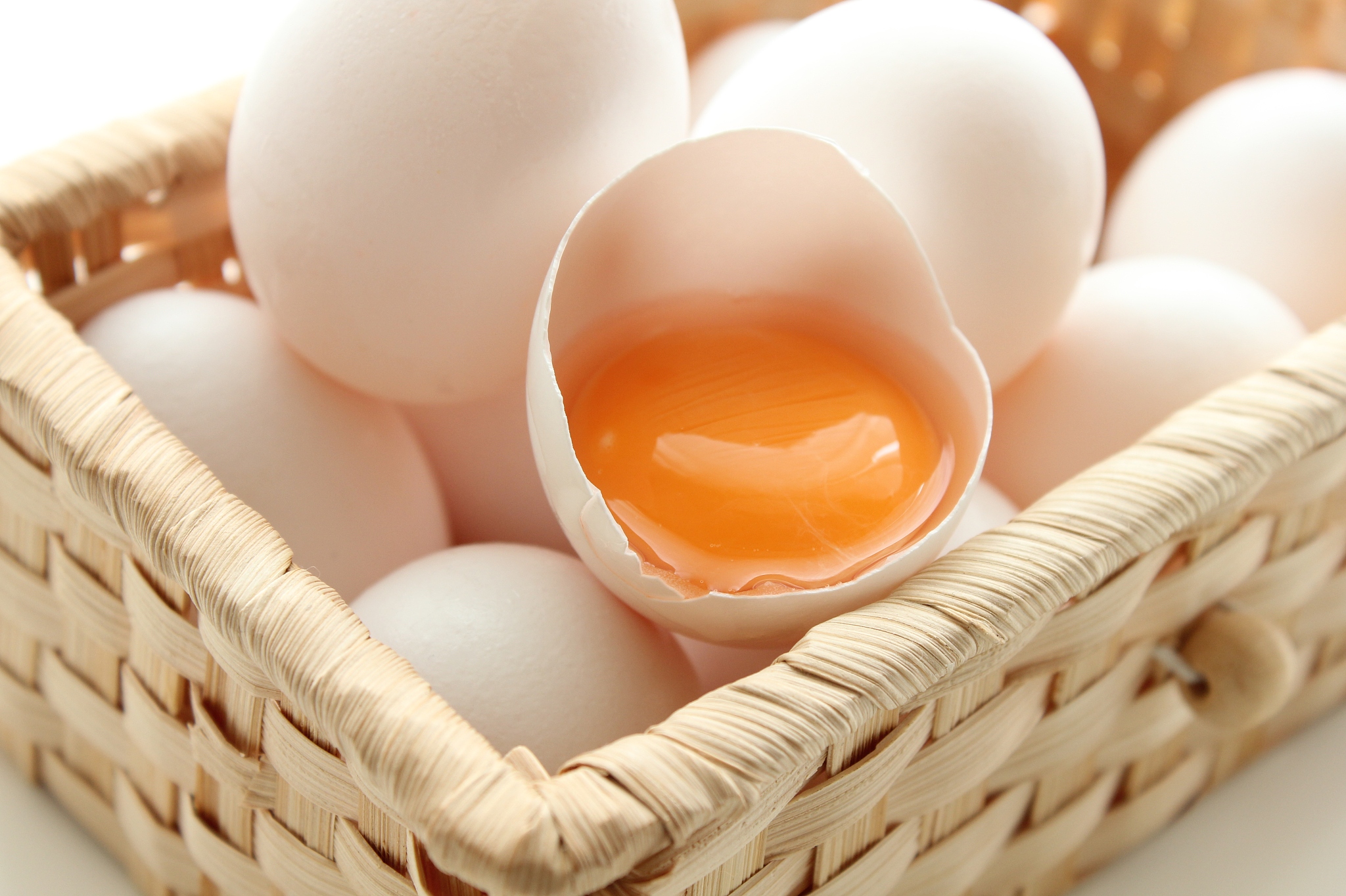 fresh egg