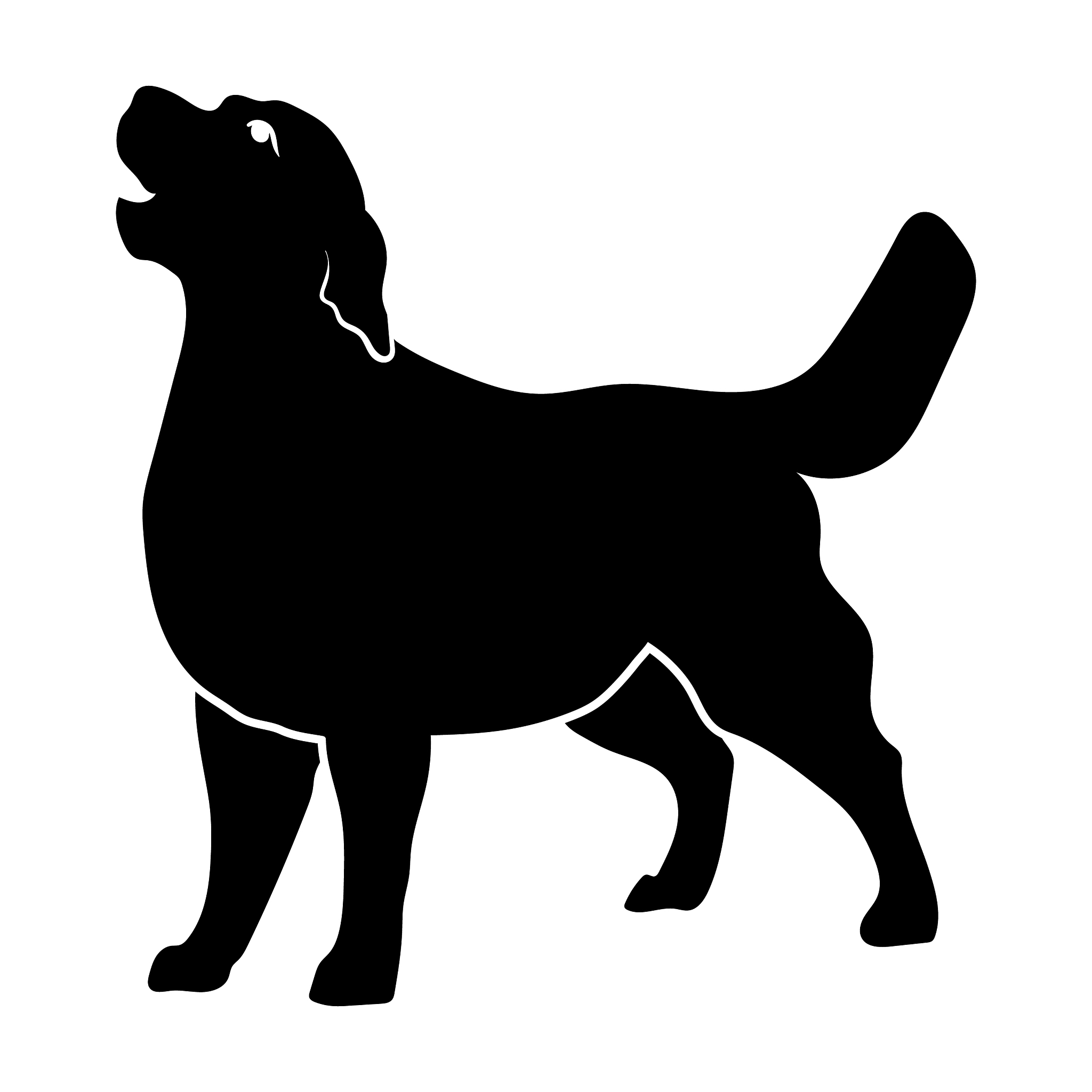 用My name is Jack续写长度为十二句的中国小学生能阅读的英文短文