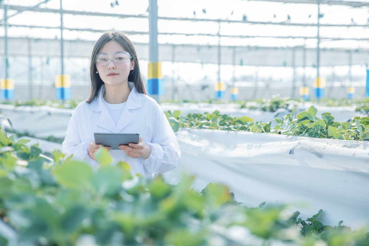 贵州农业职业学院生态农业技术专业就业方向与前景分析 贵州农业职业学院生态农业技术专业就业方向与前景分析