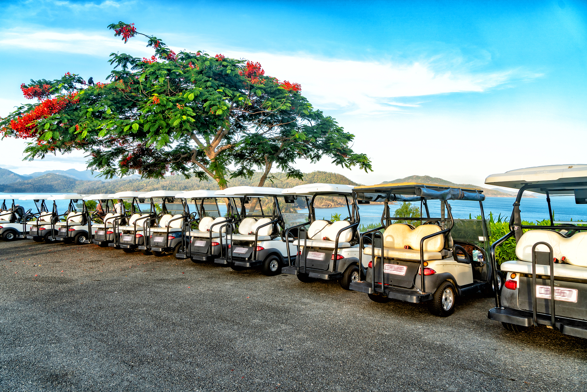 夏日观光车之旅：清凉一夏，感受美好！