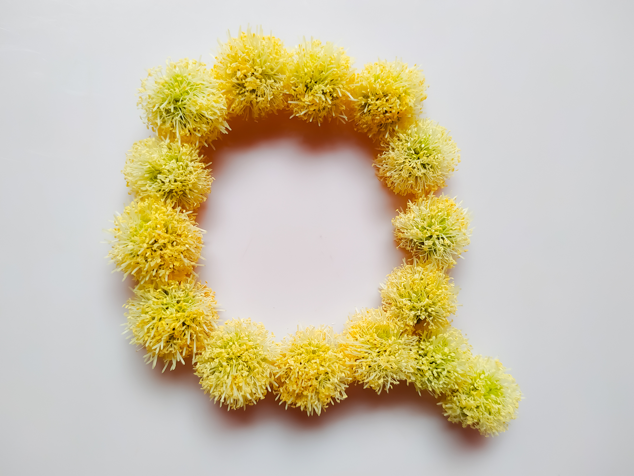 字母,英文字母q,英文字母<strong>b</strong>,背景分离,草,想法,印度,广告,个性,纸