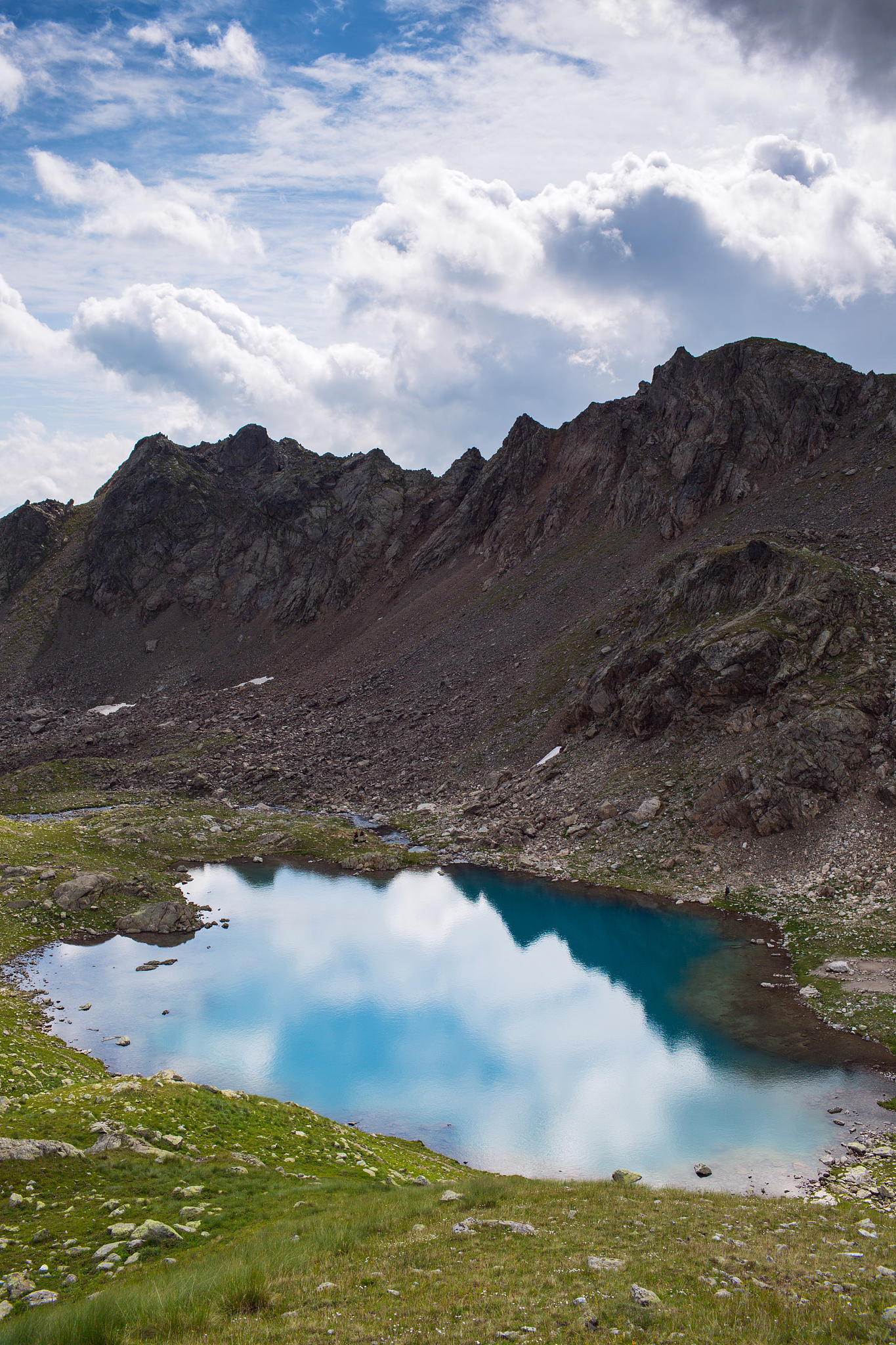 努比亚手机是哪个品牌下的子品牌