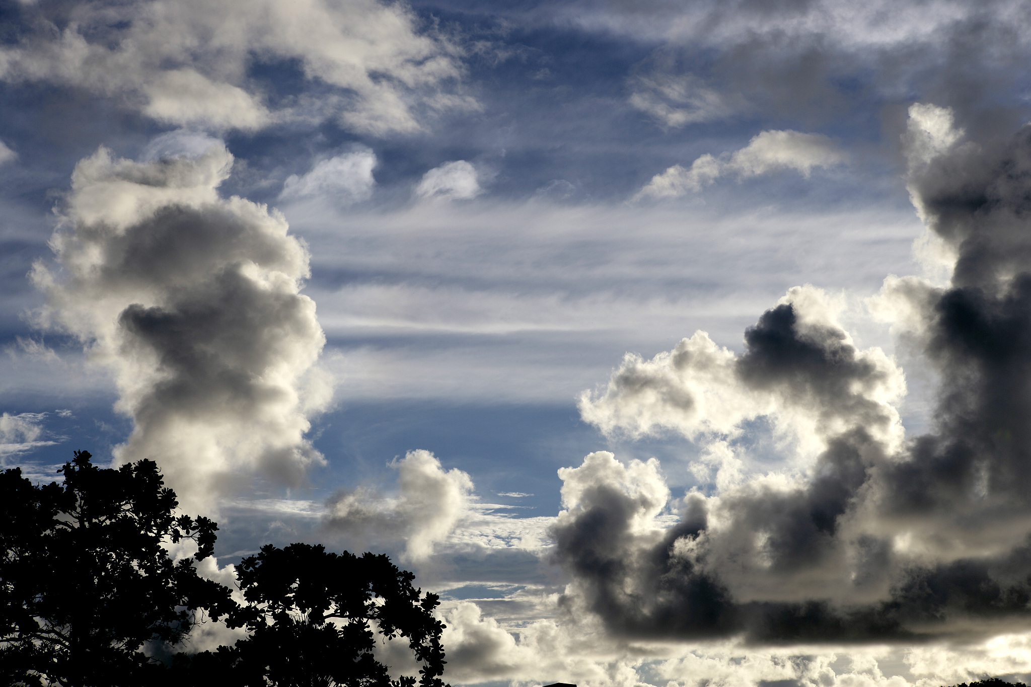唤醒樊笼中的乌云