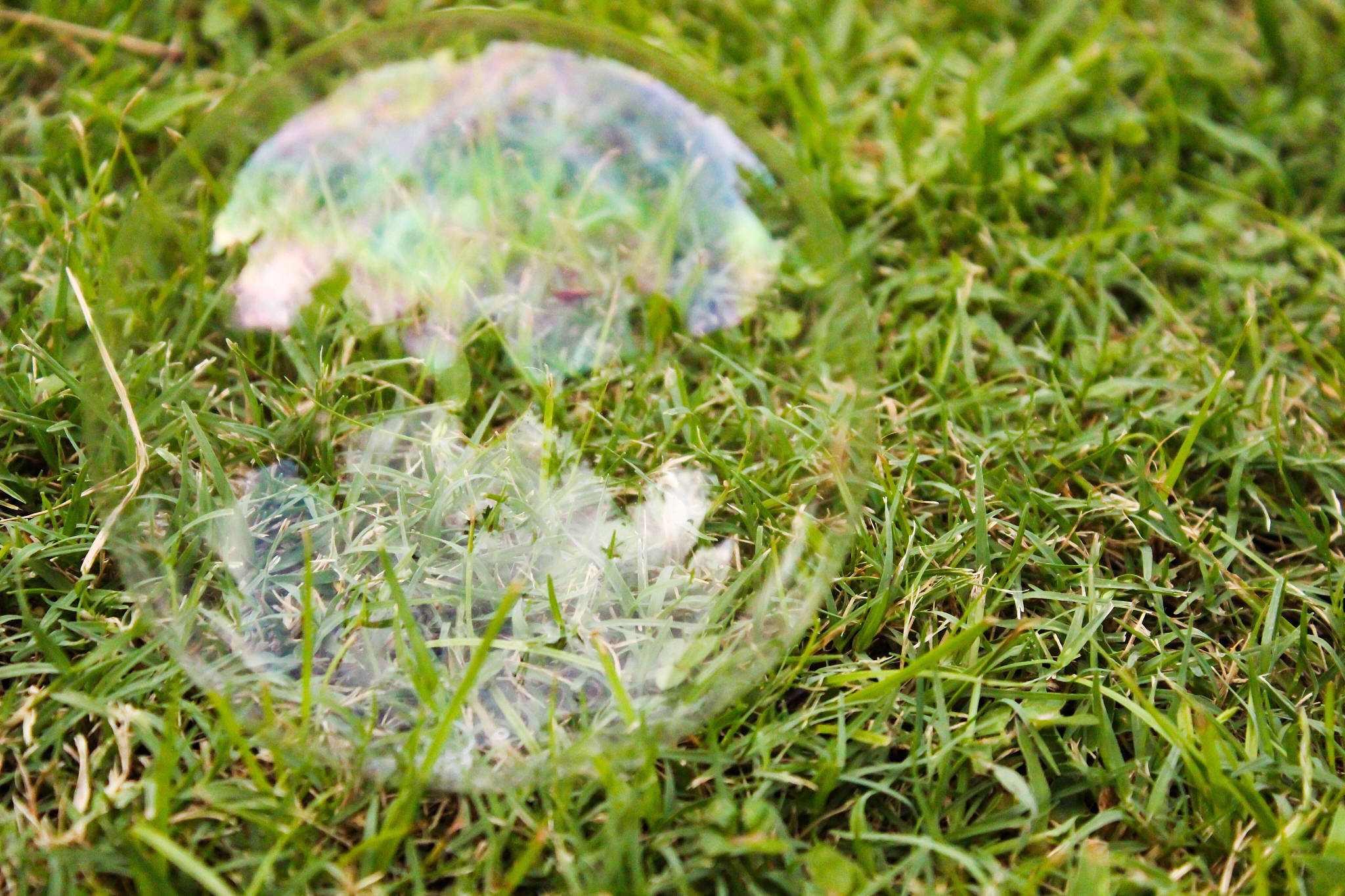 种子学专业就业前景分析：从课程到职业发展