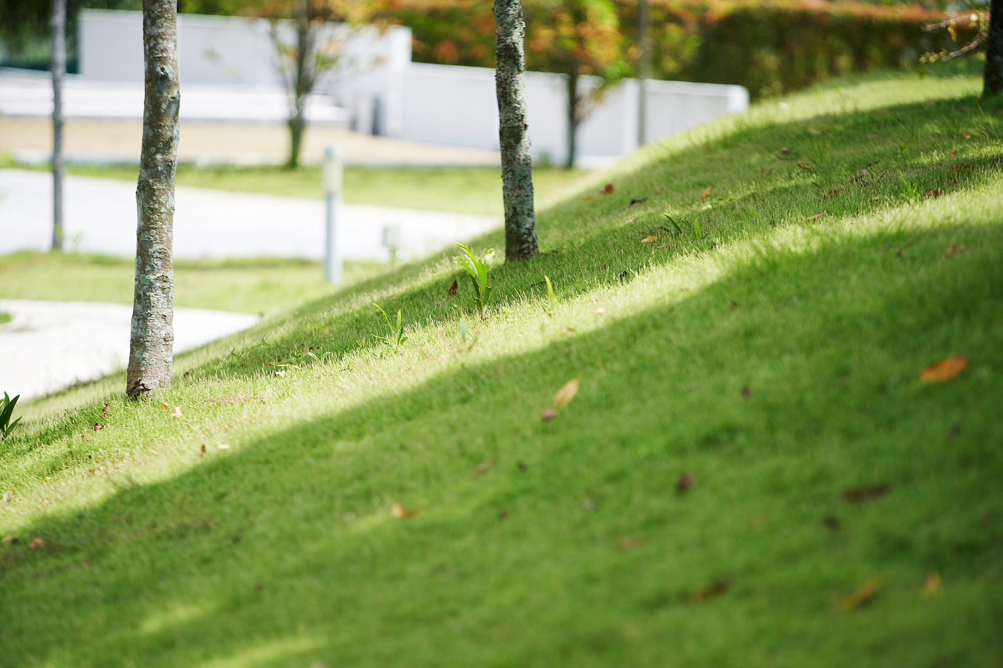 唐县职教中心园艺设计专业：特色、优势与职业出路