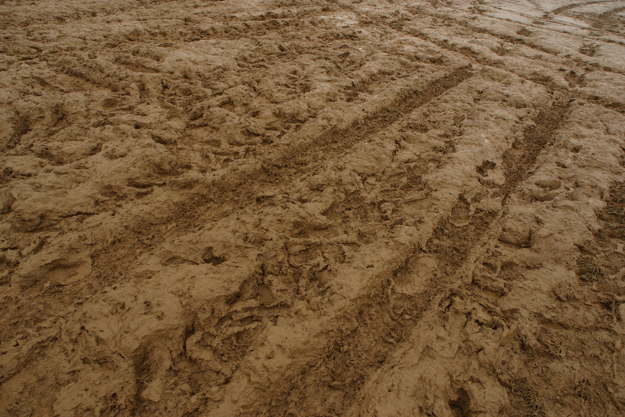 tire tracks in mud
