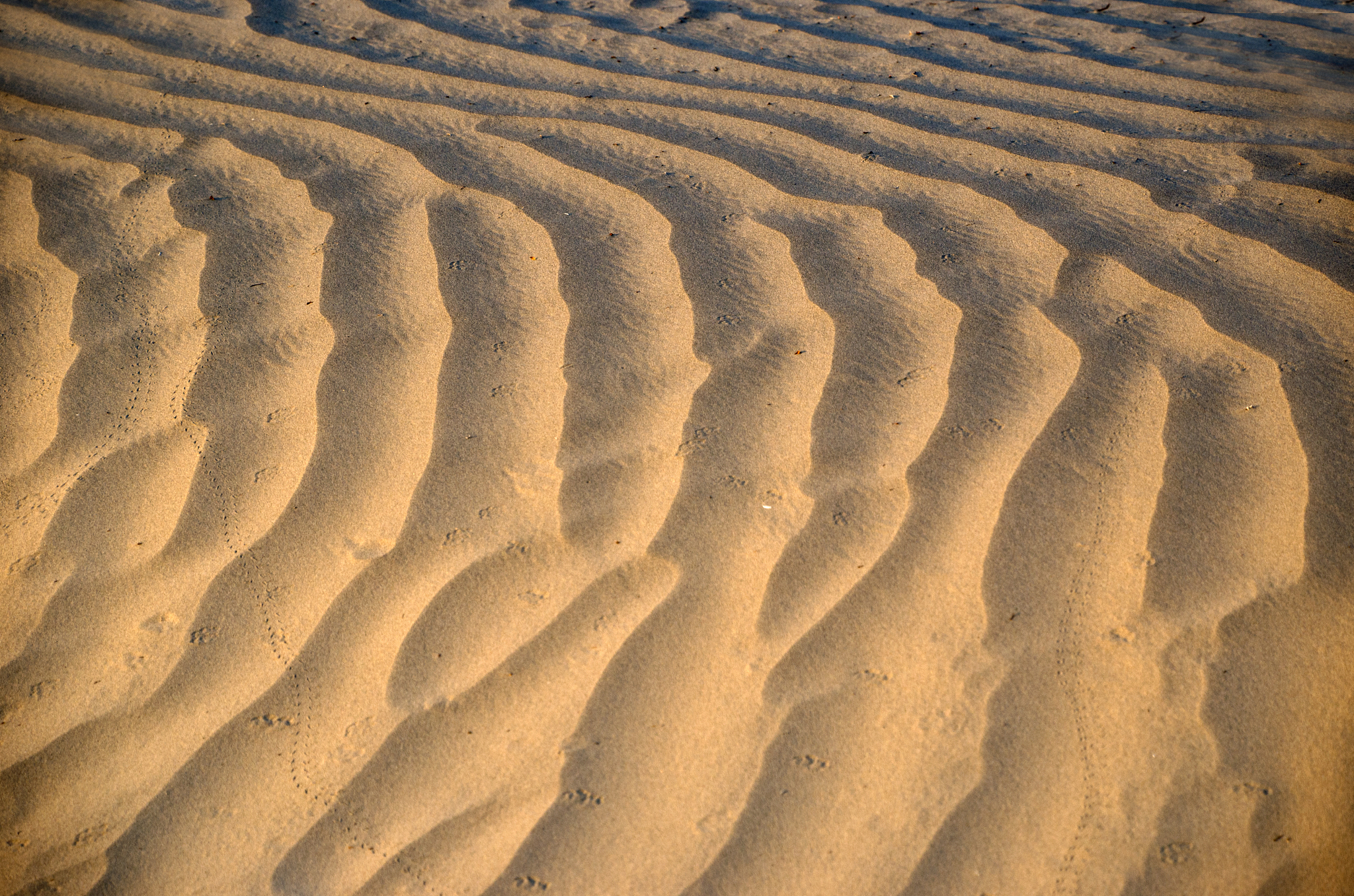 desert sands