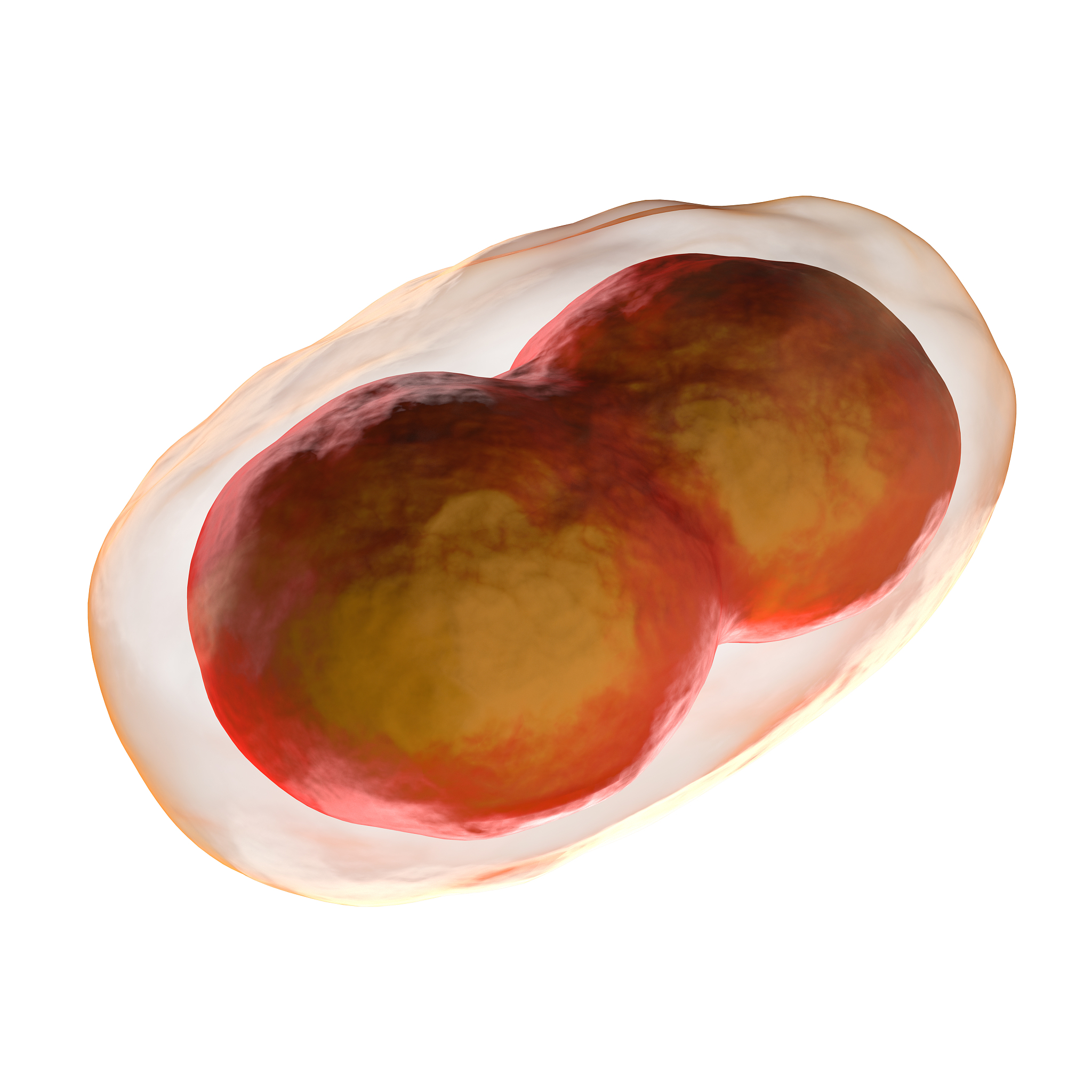 同属不同种病毒同源重组构建重组载体疫苗案例：猪繁殖与呼吸综合症病毒和猪流感病毒