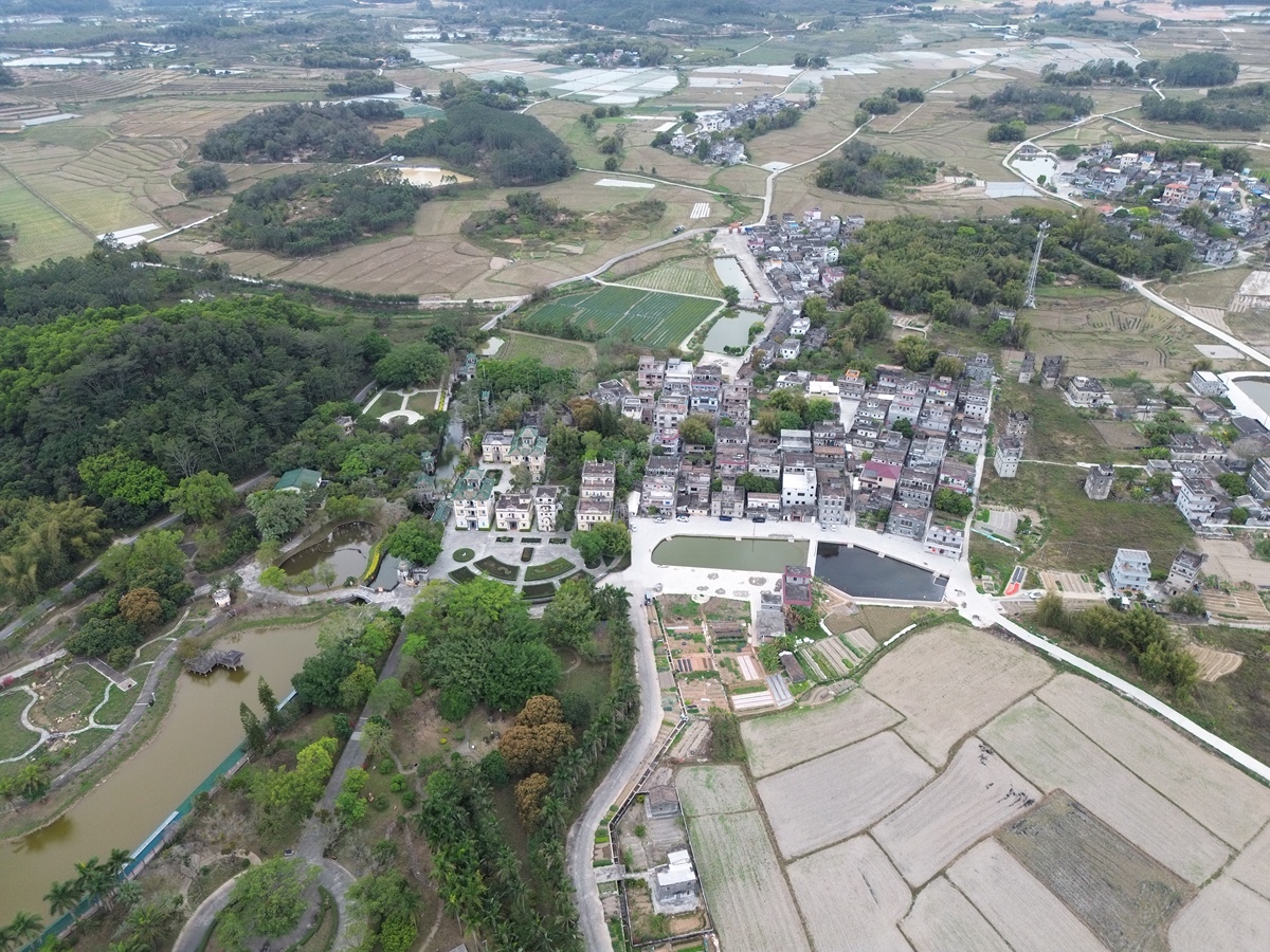 广东顺德龙江镇旺岗村变迁：从农业村到现代化乡村