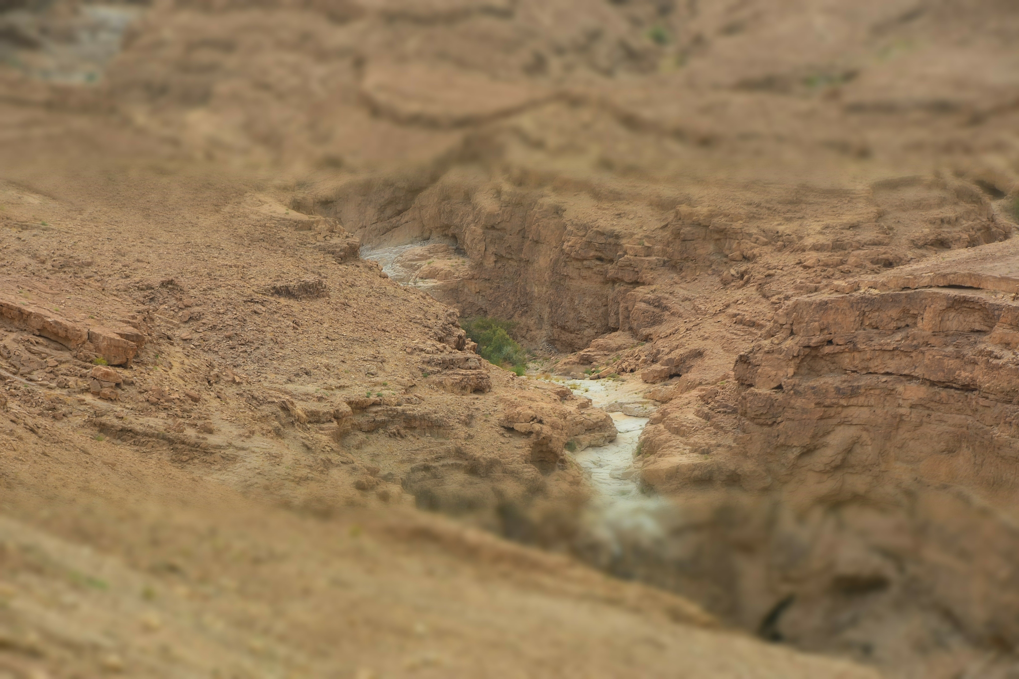 dry streams on the way to the dead sea
