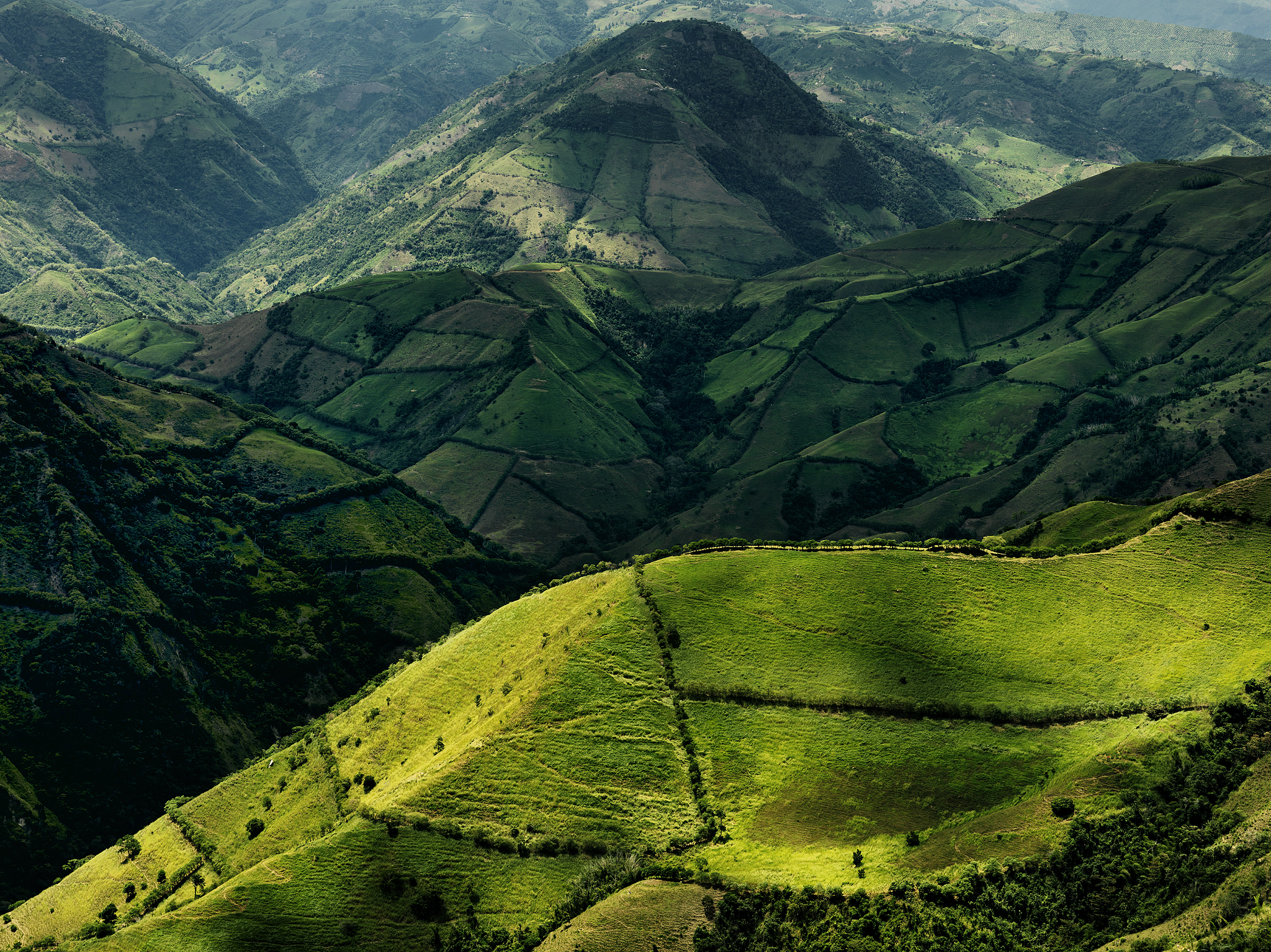 high angle view of agricultural field