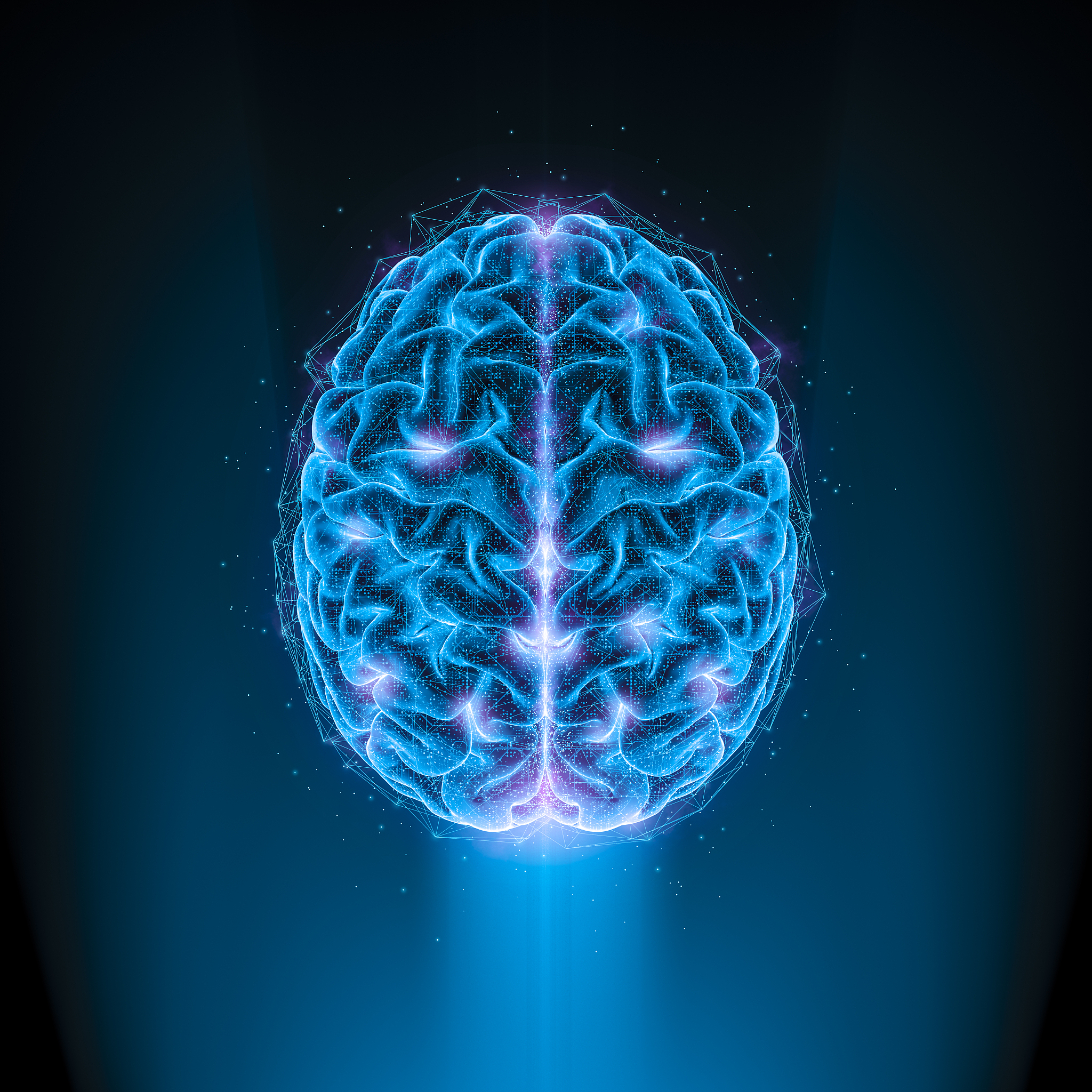 请为基于大模型的农作物疾病诊断和知识问答系统写一段的专业商业计划书的公司简介介绍公司基本情况、已获得的相关资质、相关业绩等。已设立公司的团队填写此项。