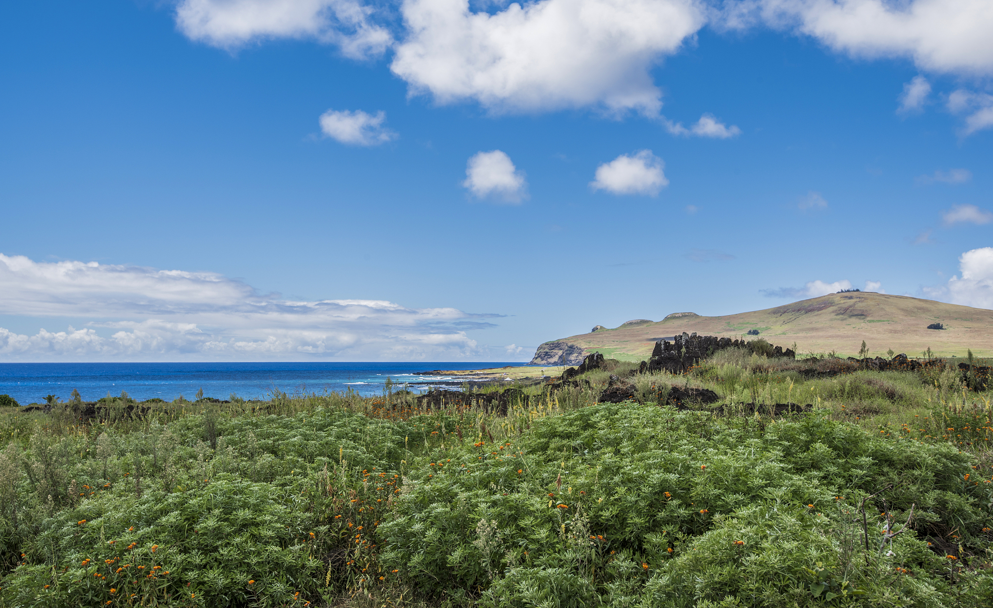panorama towards te pito kura site