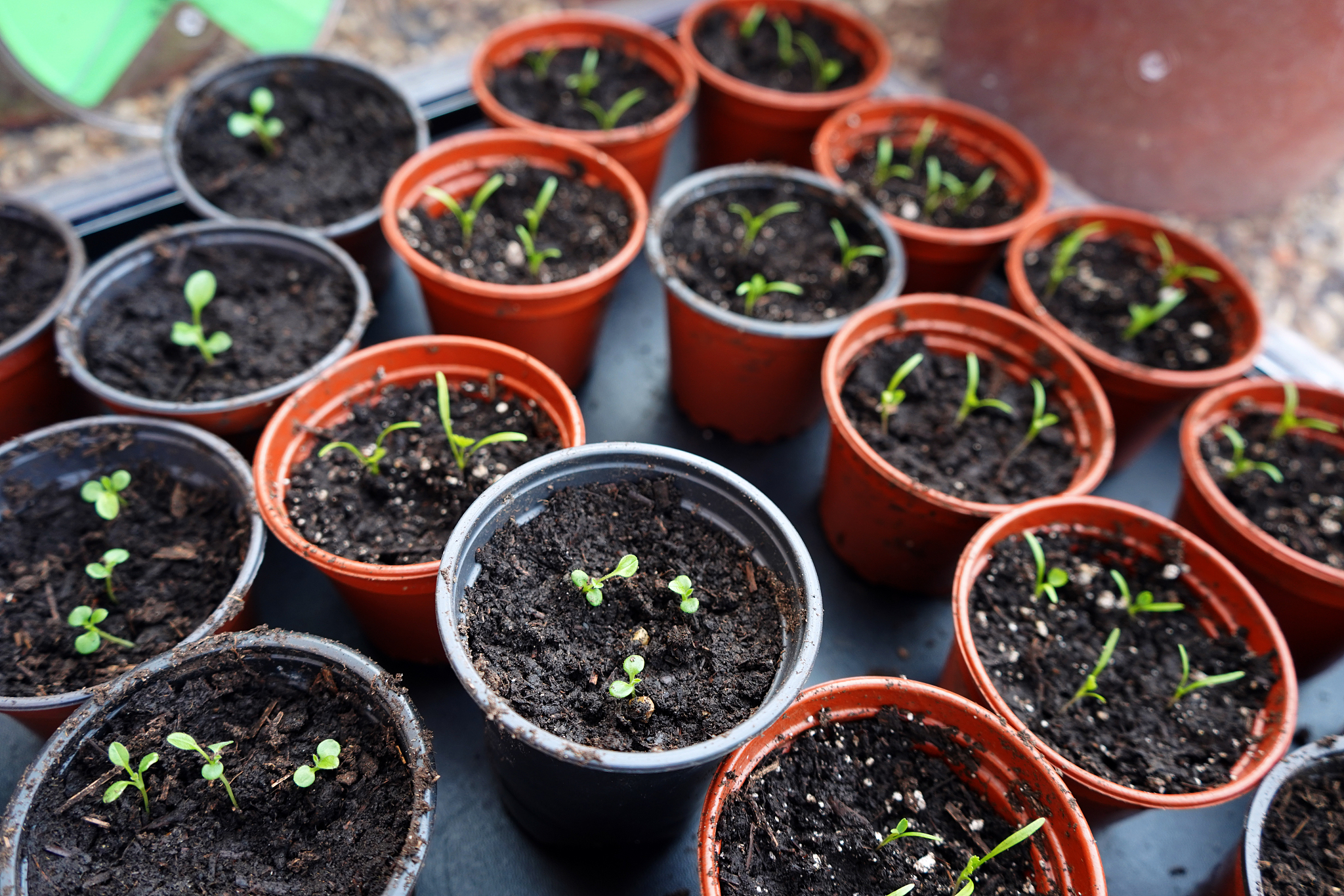 黑龙江省对外贸易学校食品生物工艺专业怎么样？ - 就业前景、课程设置、师资力量
