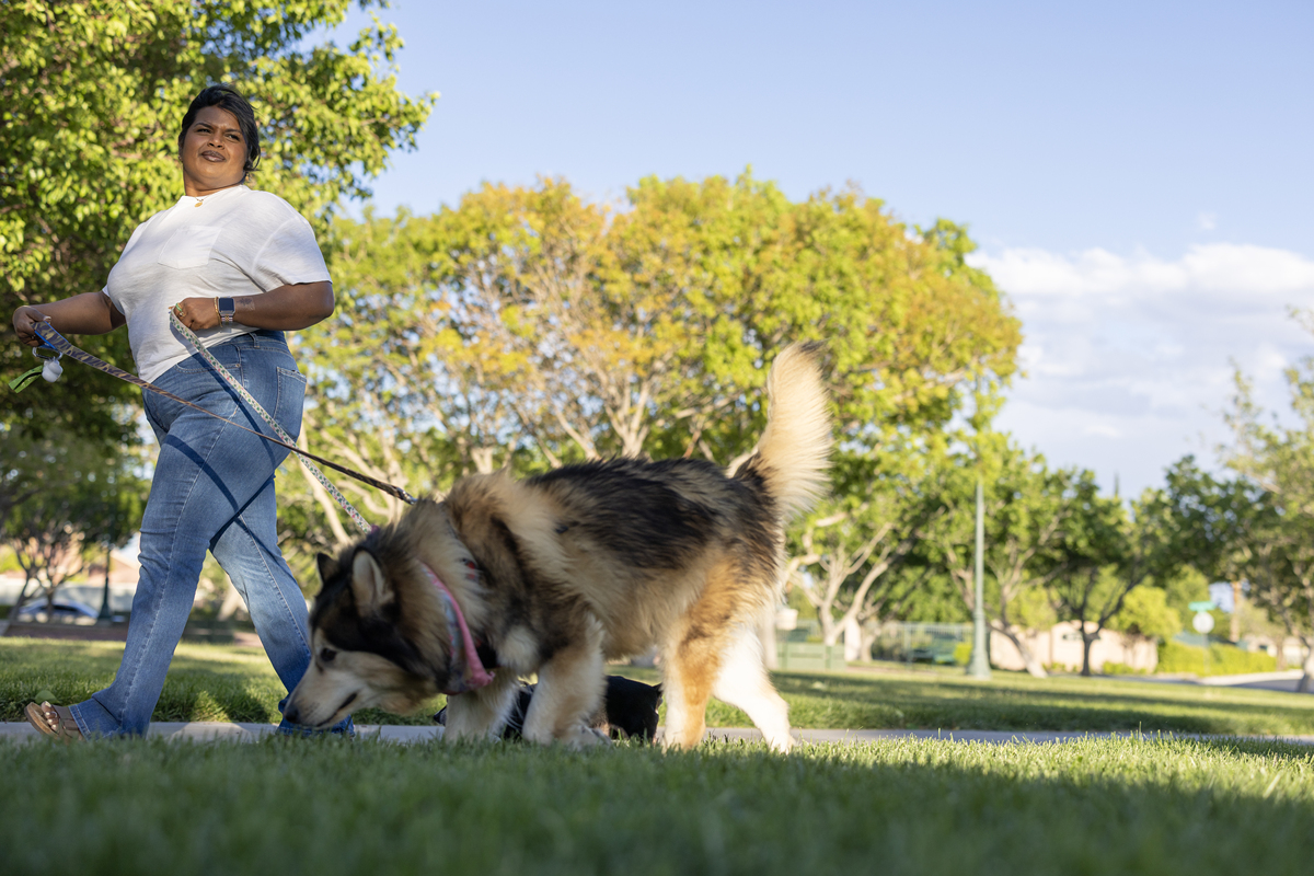 徐玩波不听话？训练狗狗的6个有效方法！