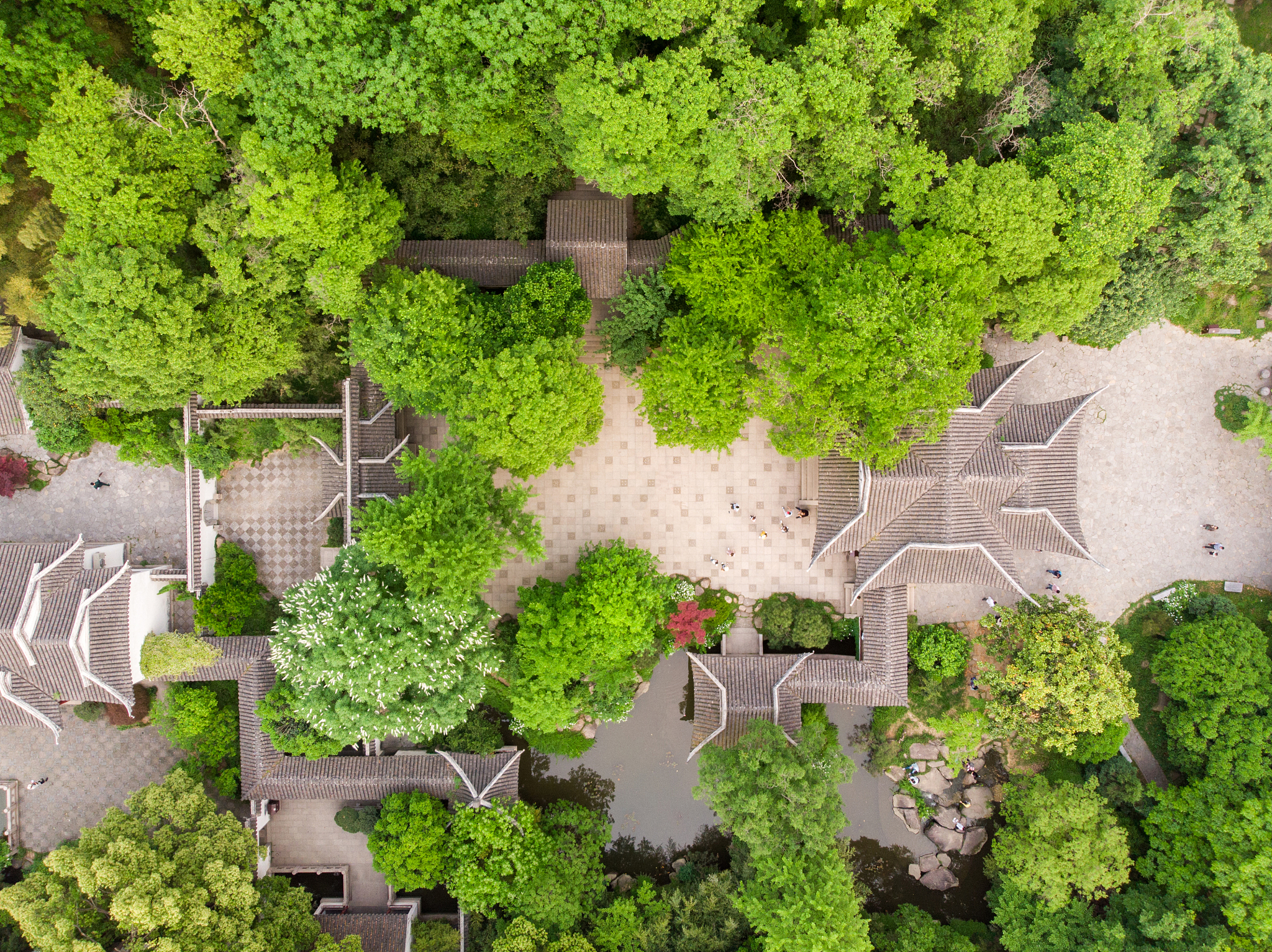 北京园林学校具体位置介绍用发