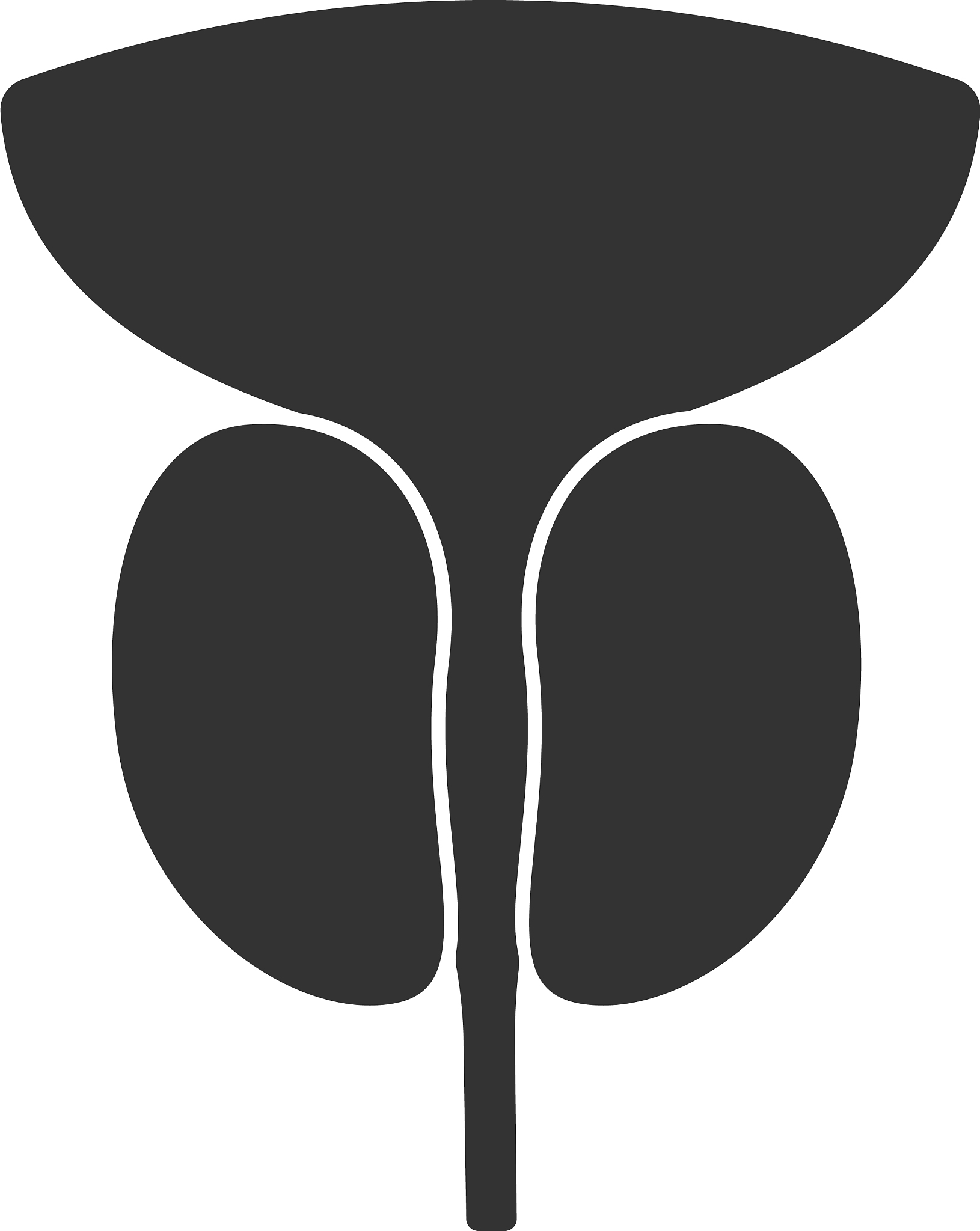 经尿道前列腺电切术后尿失禁研究：符合指南标准的患者样本描述