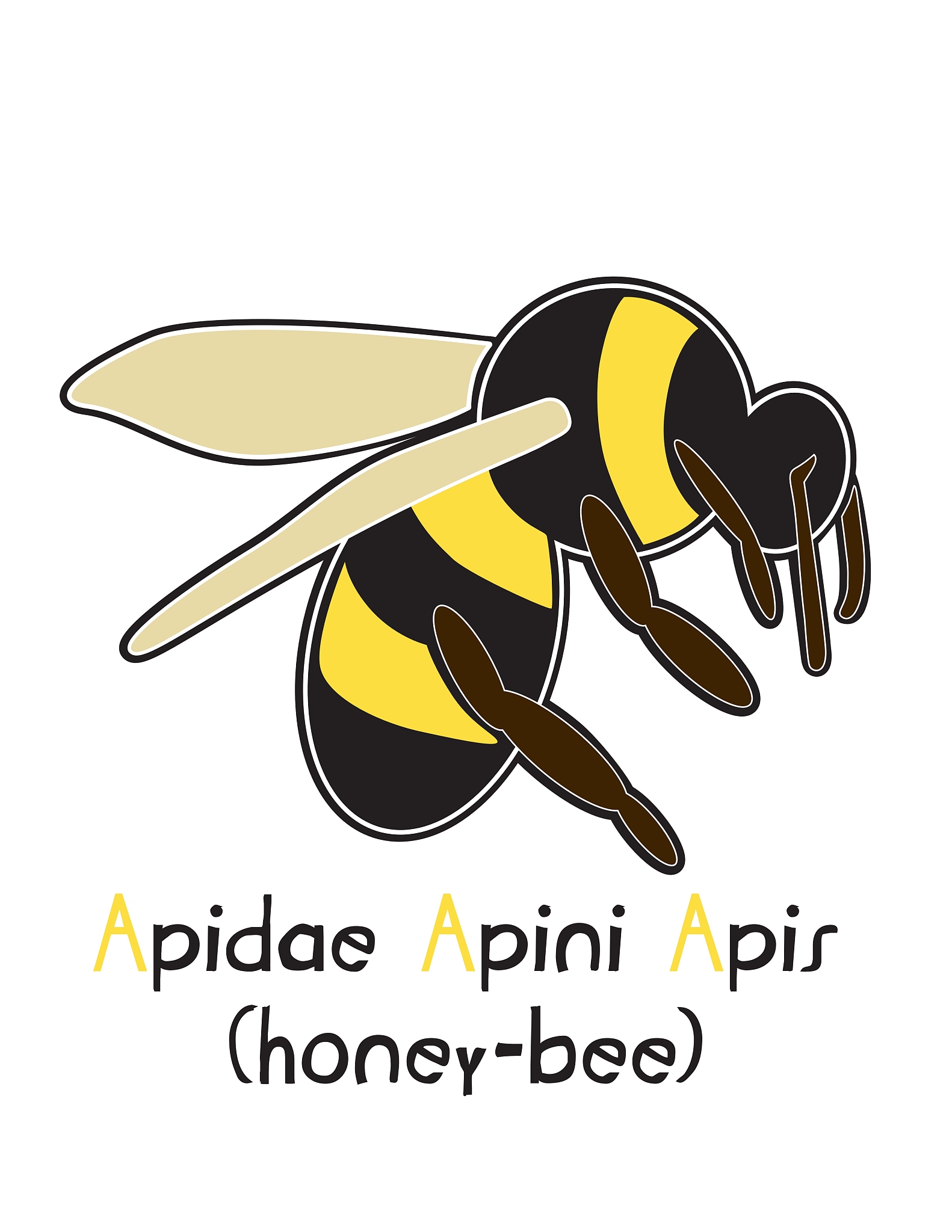 Honeybee Communication: How Bees Share Honey Locations