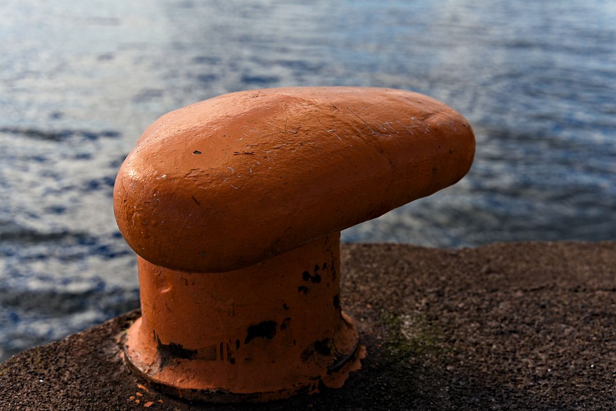 大连航运职业技术学院港口与航运管理专业好就业吗