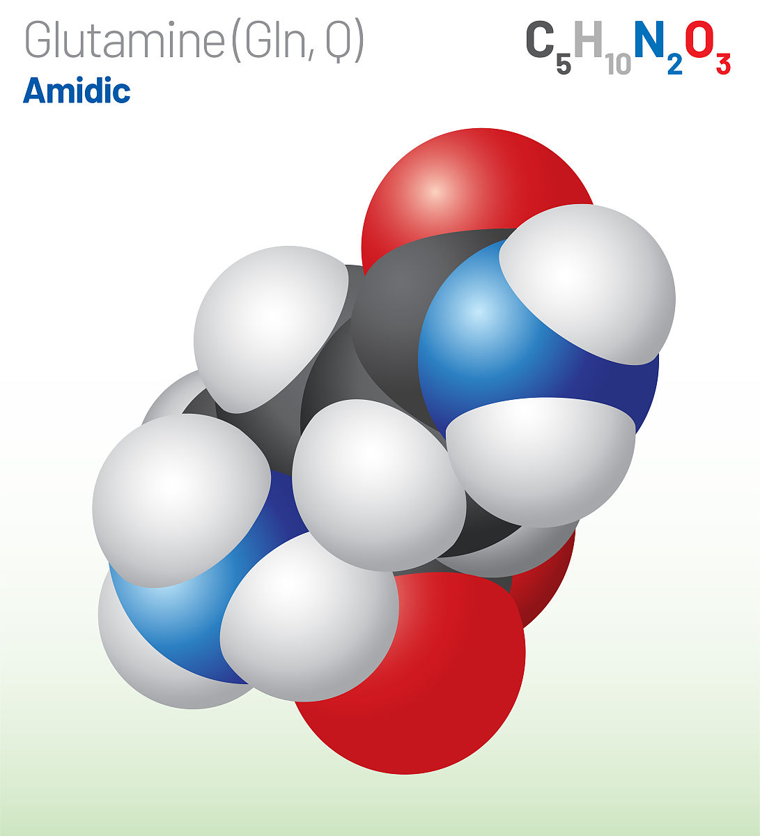 O糖基化发生在哪些残基详细介绍