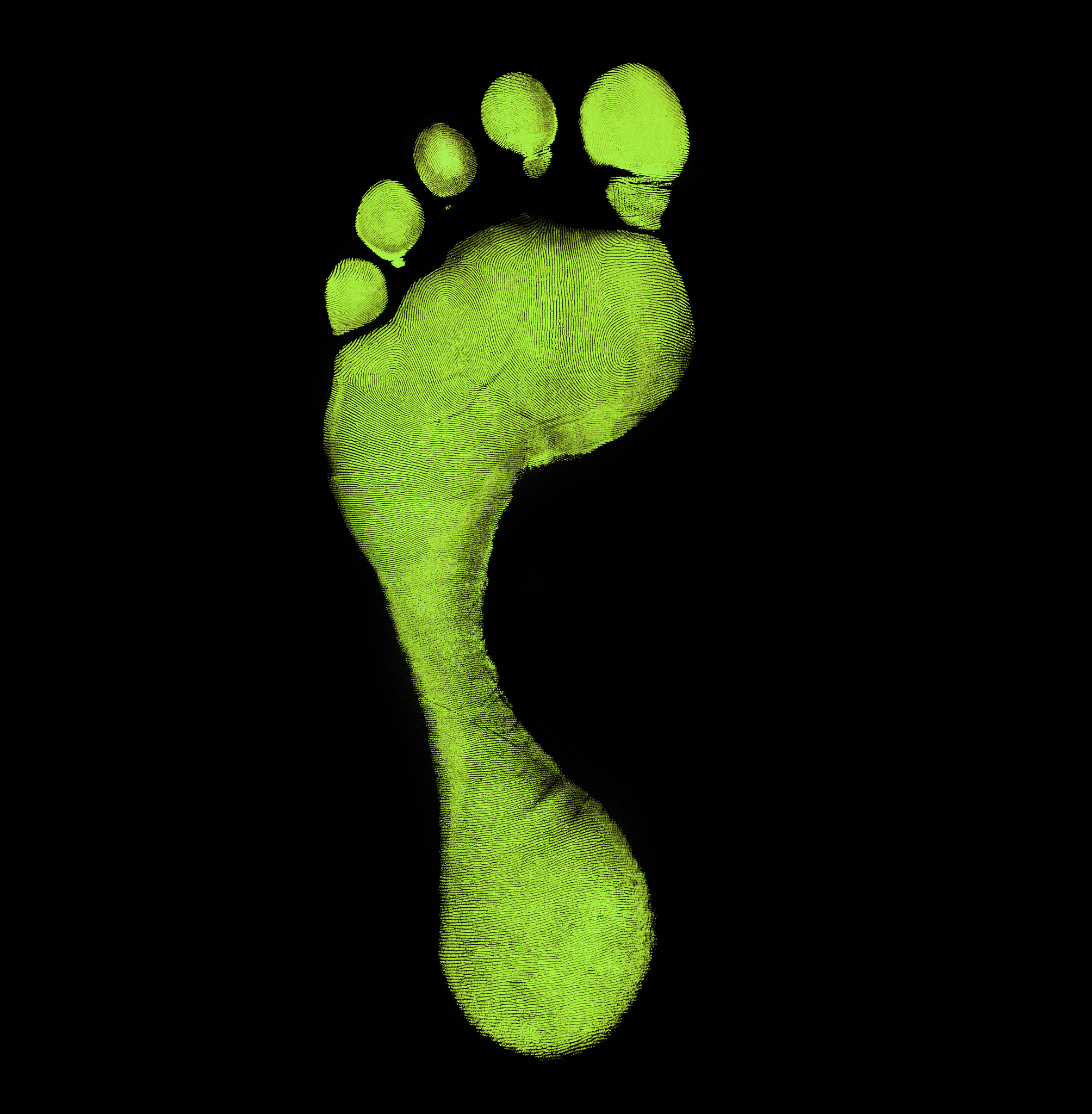 如何由汽车座椅公司联想到森林资源