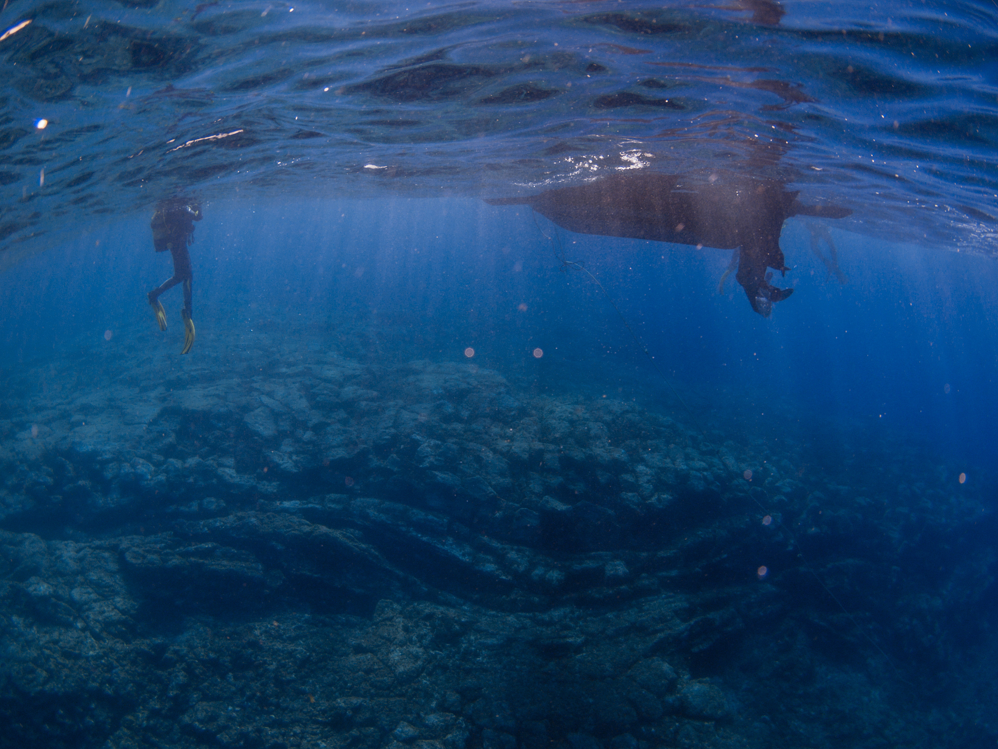 diving in the canary islands