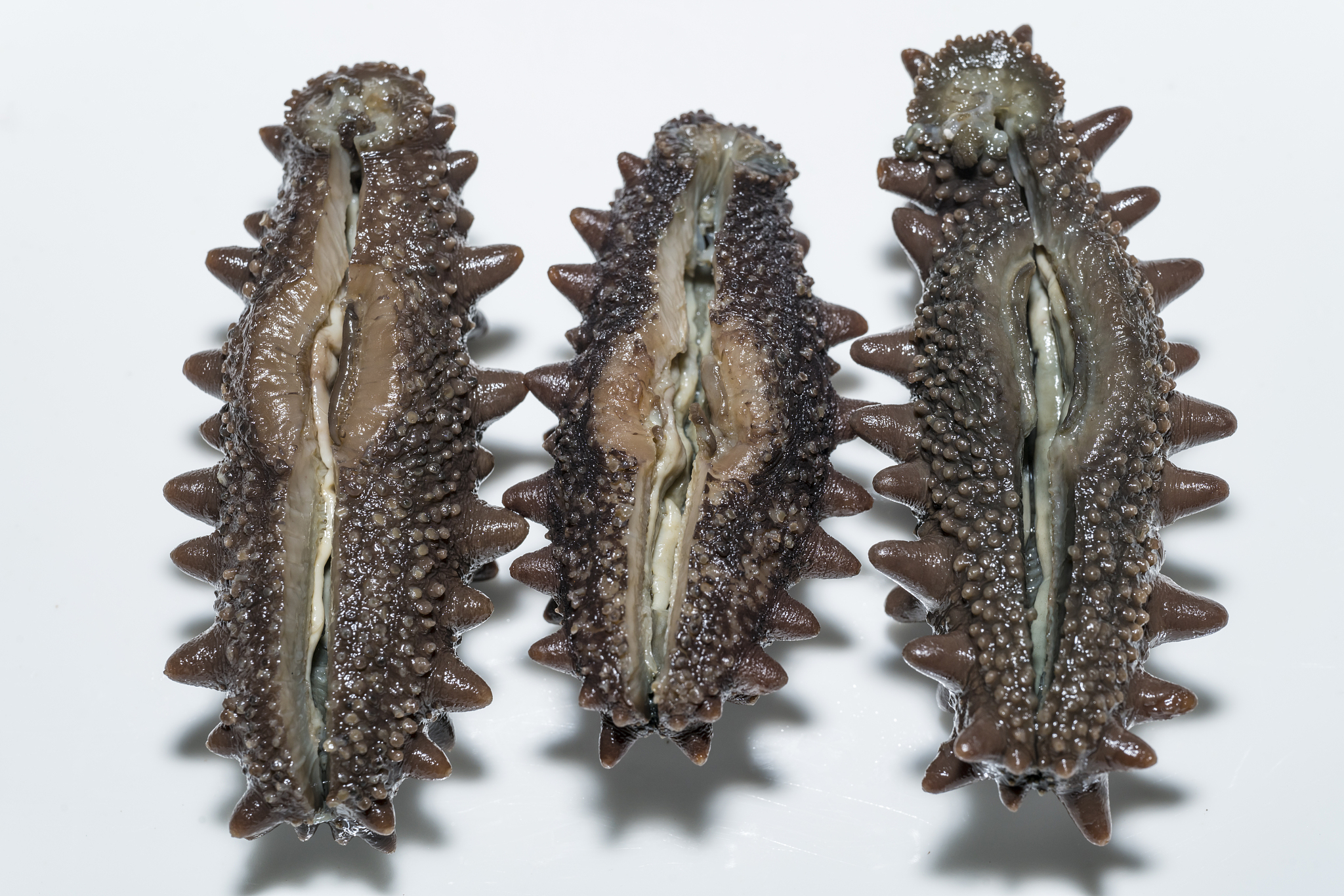 泡发海参剖开时有硬棒物那是什么东西？是参子吗？